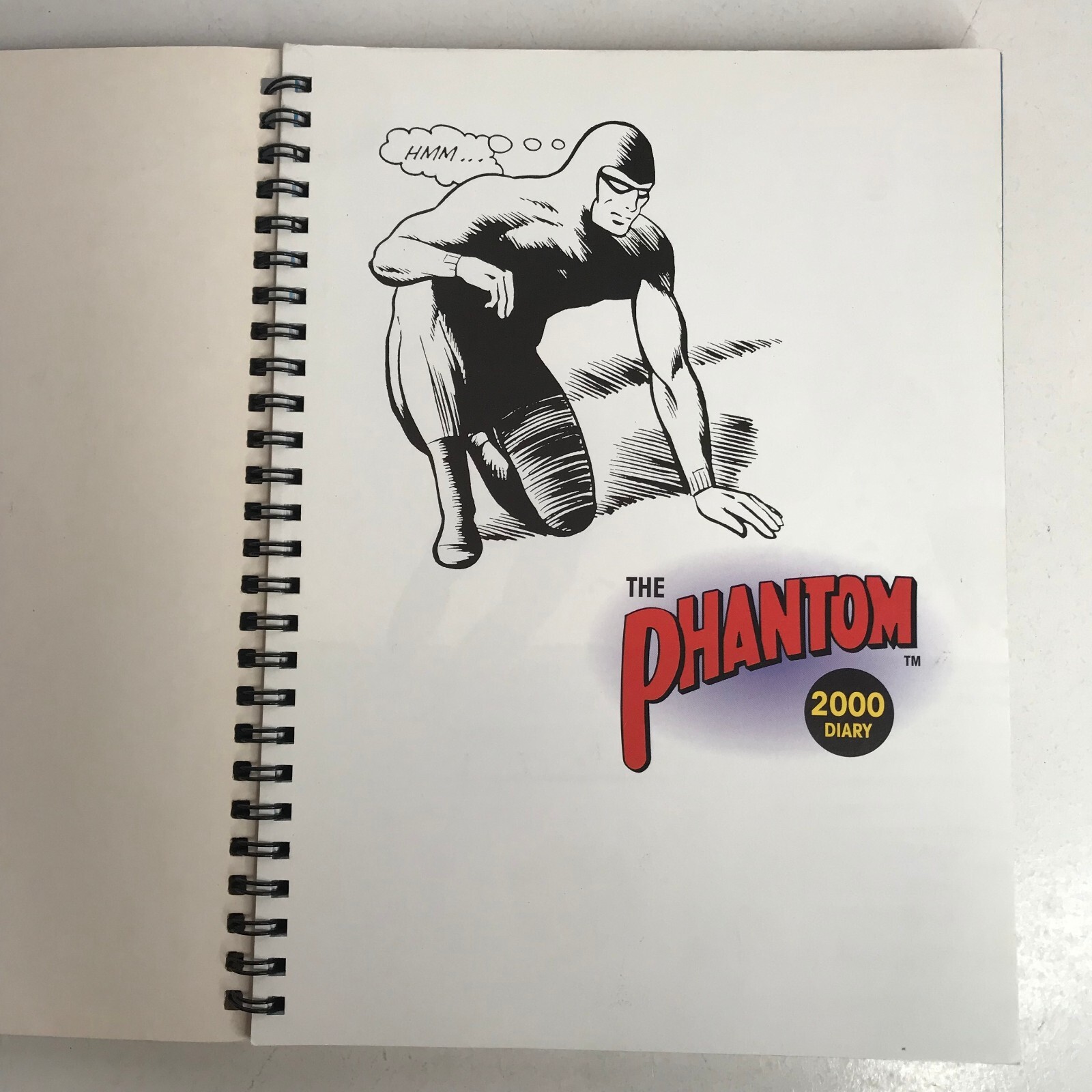 The Phantom 2000 Diary No.2