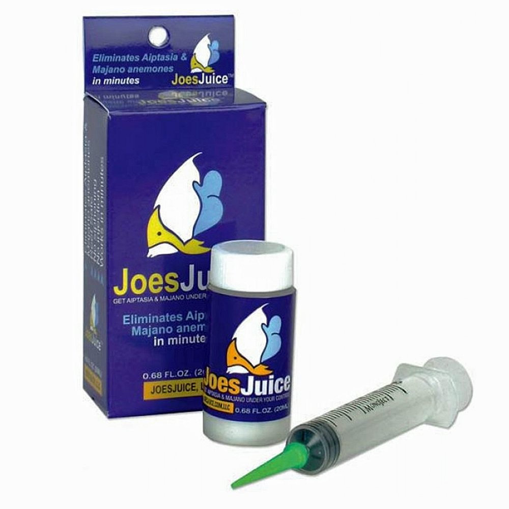 Aiptasia Eliminator 20 mL - Effective Solution for Reef Aquariums