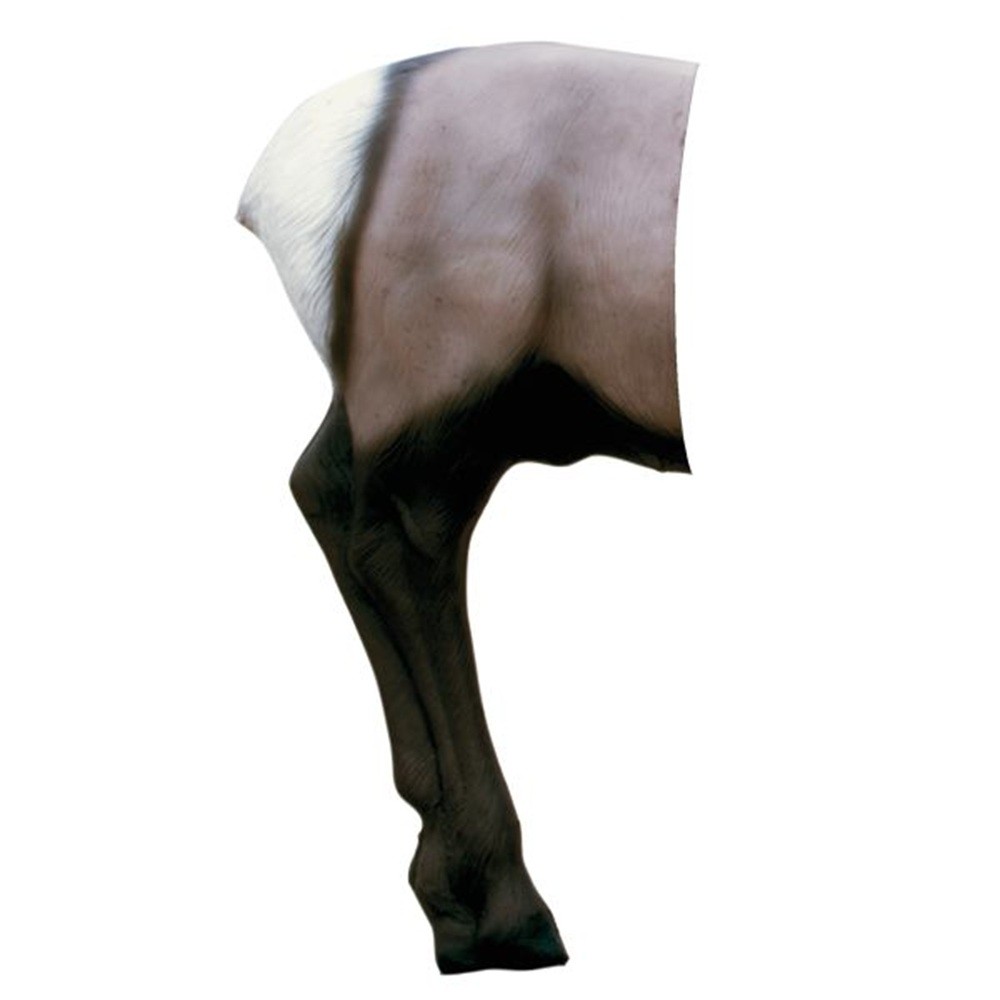 Delta Mckenzie X-Ray Elk 3D Archery Target Replacement Rear