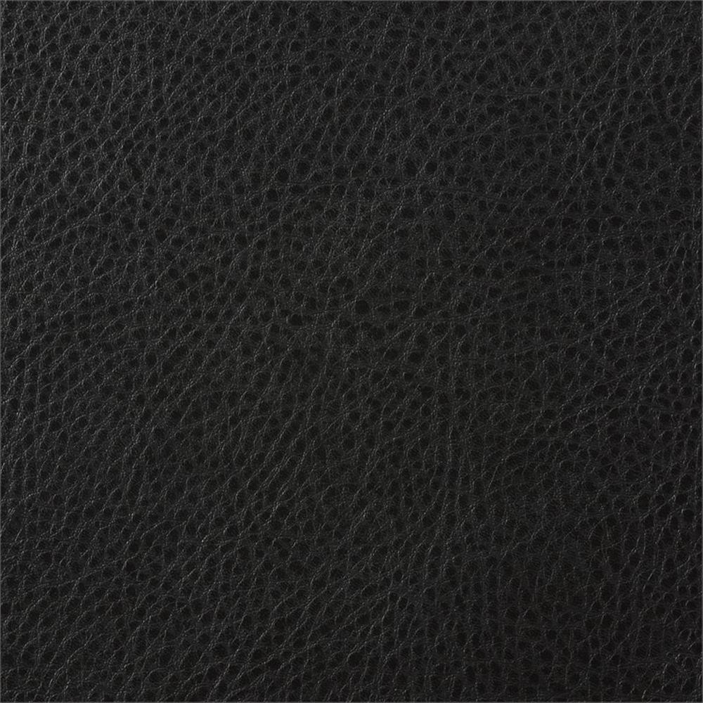 Lexicon Rubin Bonded Leather Sofa in Black
