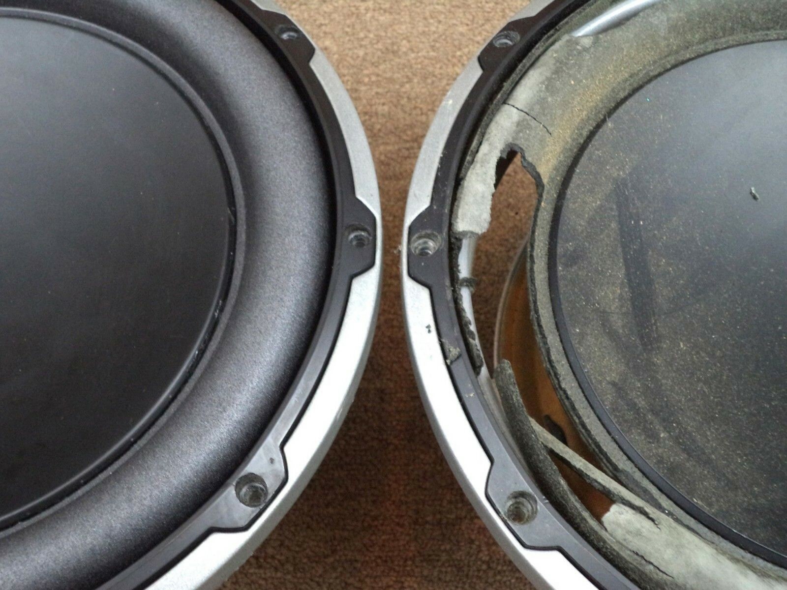 JL Audio 10w6v2 Subwoofer Foam Surround Repair Service / 10w6 Version 2 Refoam