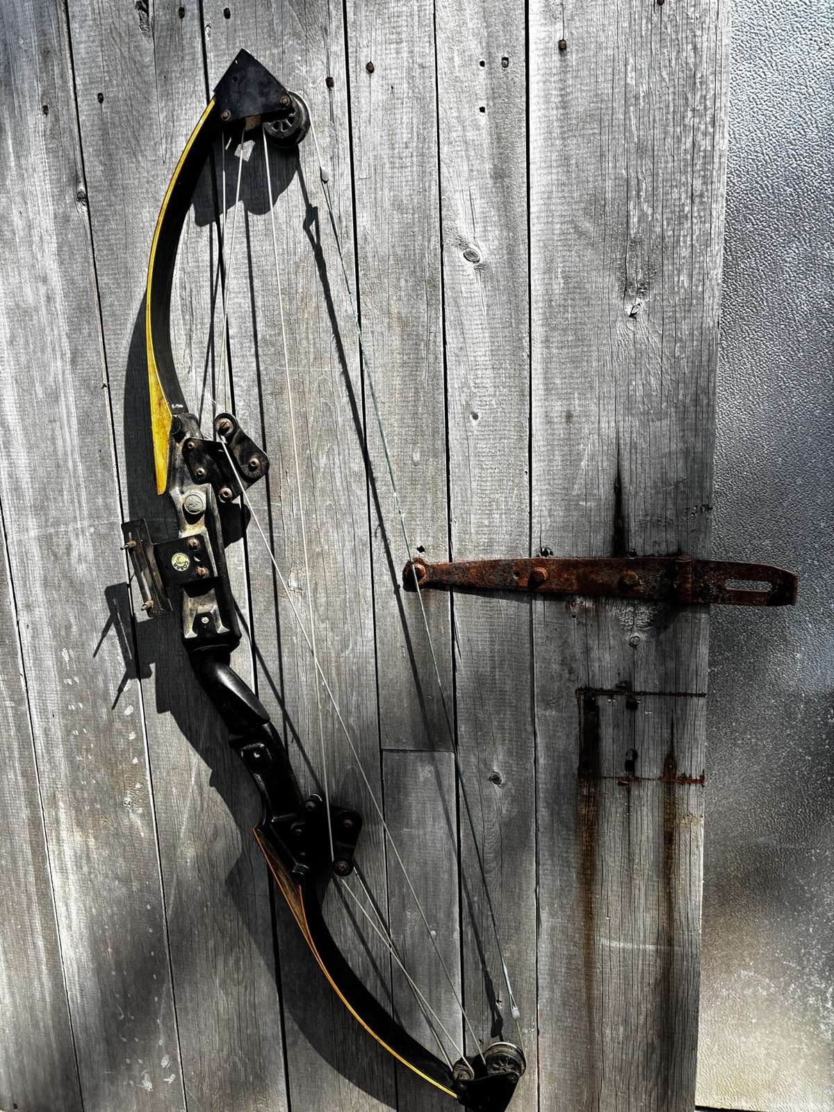 Vintage BEAR Polar LTD 39” Compound Bow - Archery Hunting USA -