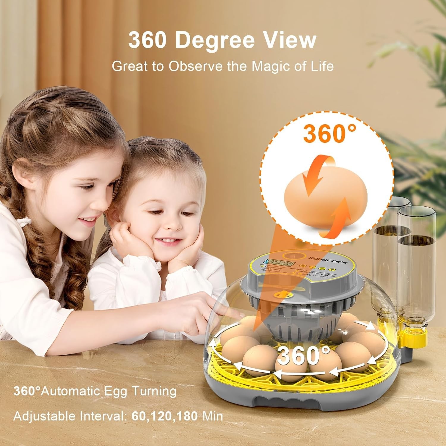 Upgraded Egg Incubator with Temperature & Humidity Control