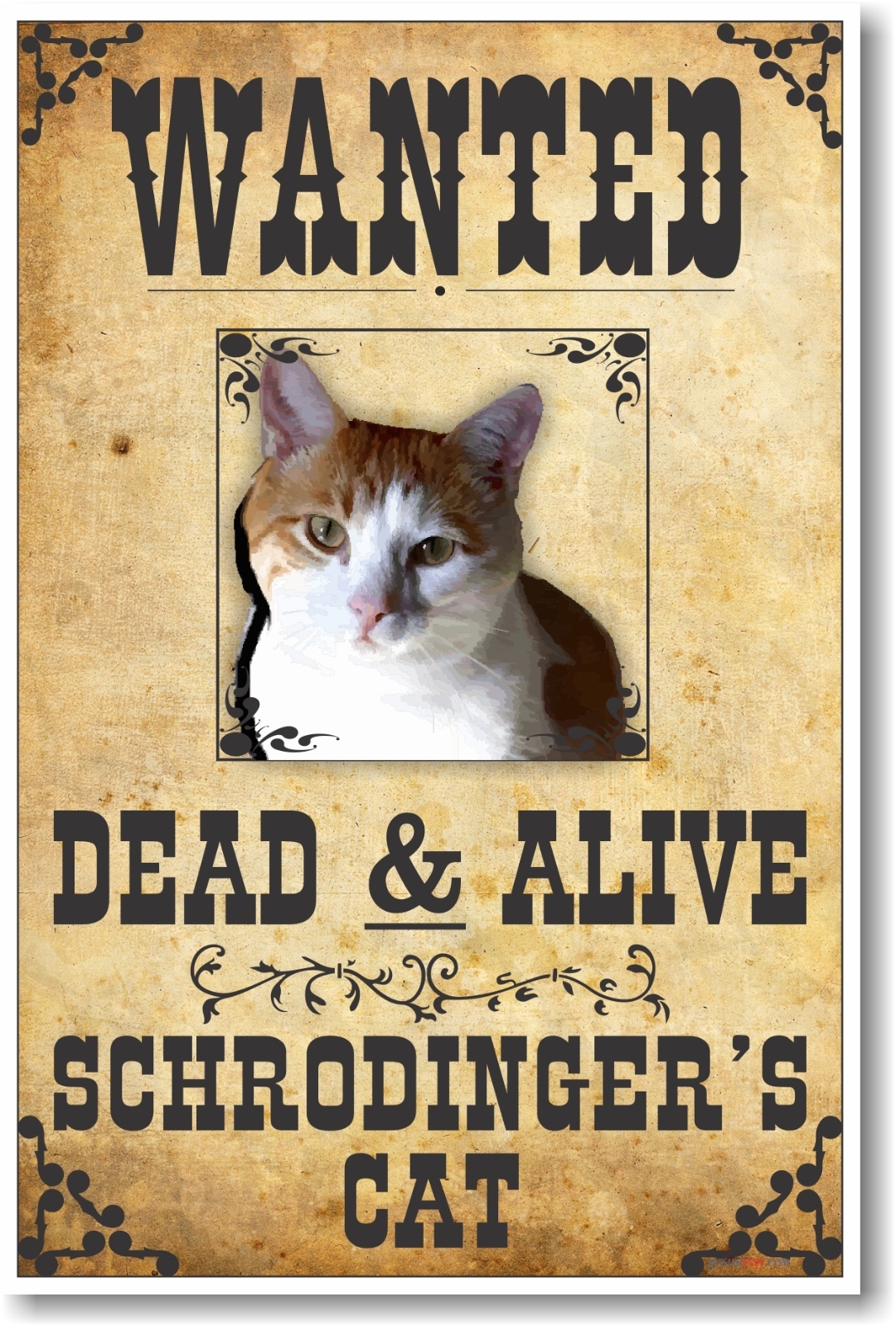 Wanted - Schrodingers Cat - NEW Humorous Novelty Science Poster
