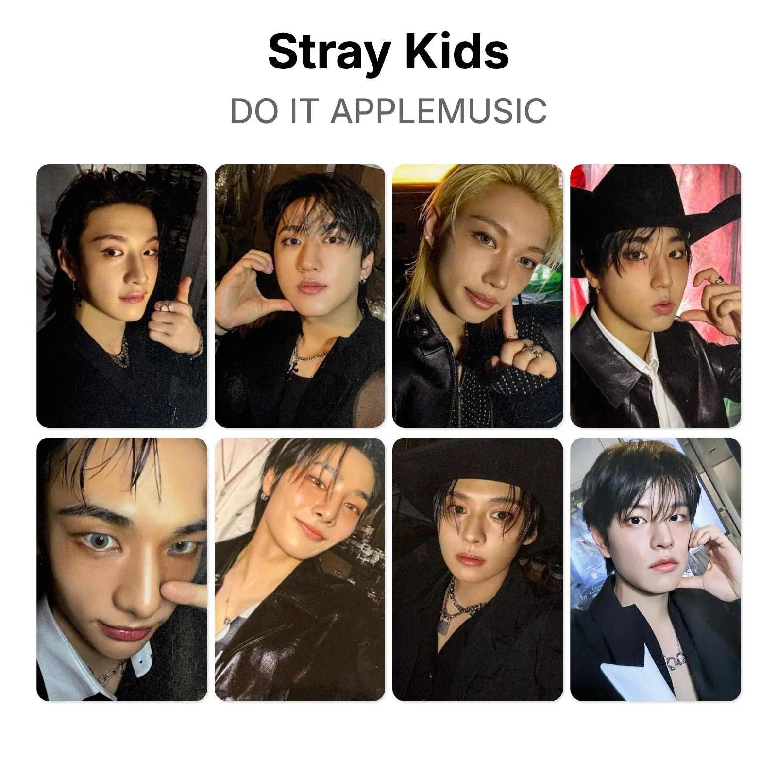 Stray Kids DO IT APPLEMUSIC Official Photocard KPOP Special Gift