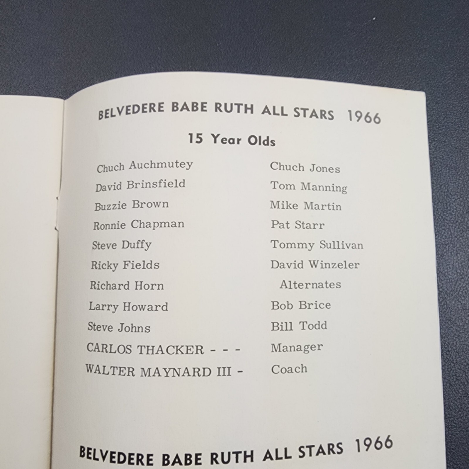 Vintage 1966 Babe Ruth Tournament Program Booklet-Dekalb Co. Georgia