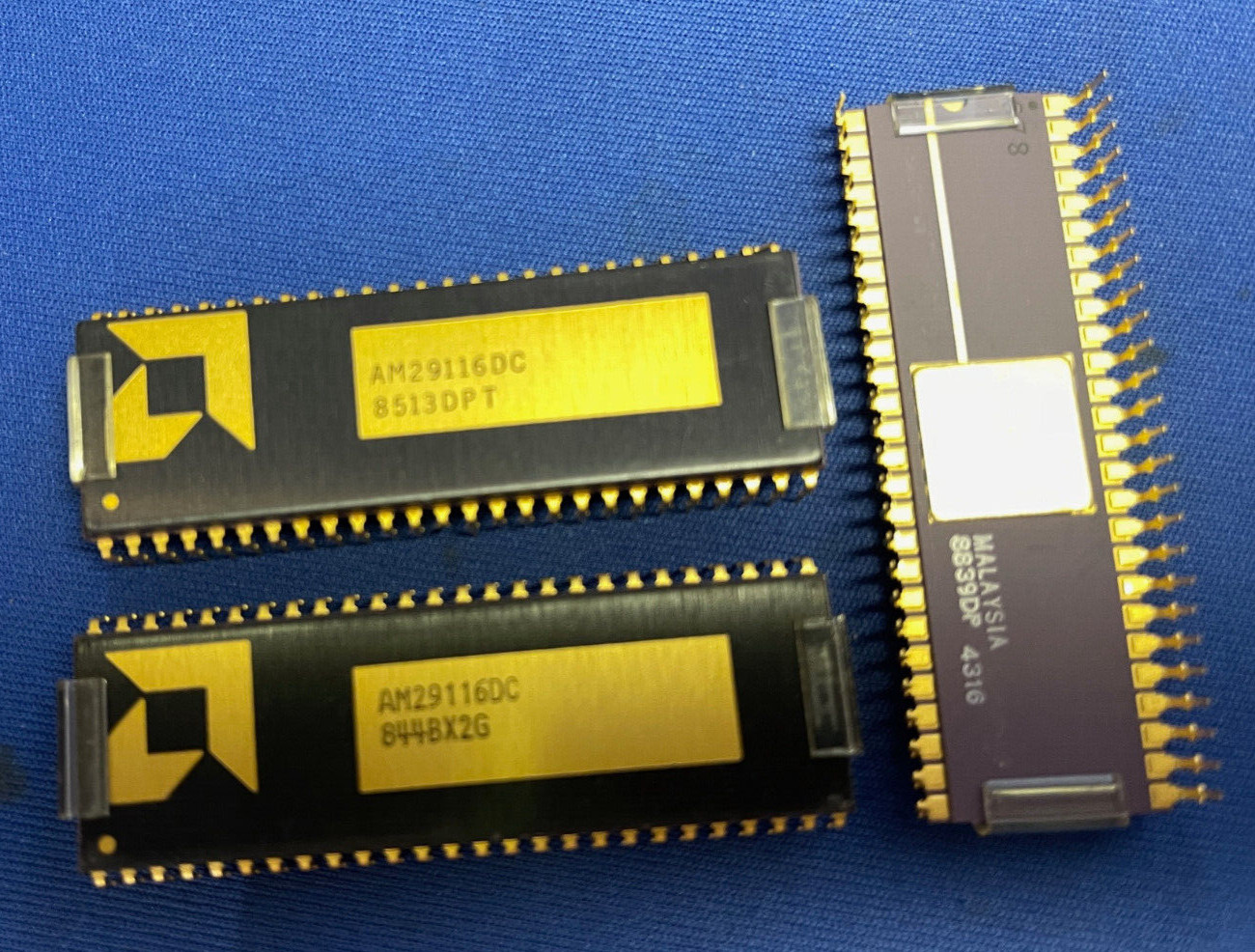 AM29116DC AMD 52-PIN DIP Gold CERAMIC Vintage 84-87 COLLECTIBLE W/PROTECTOR QTY1