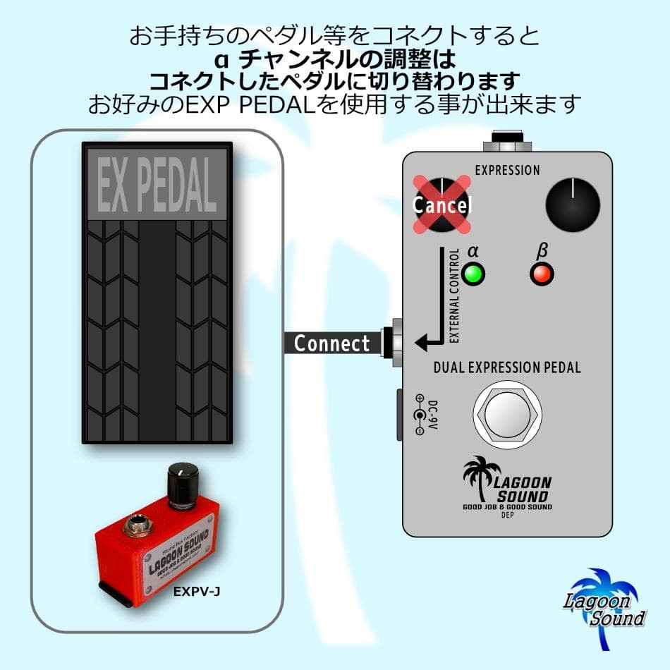 Dual Expression Pedal 2 Presets EXP Switch External Jack