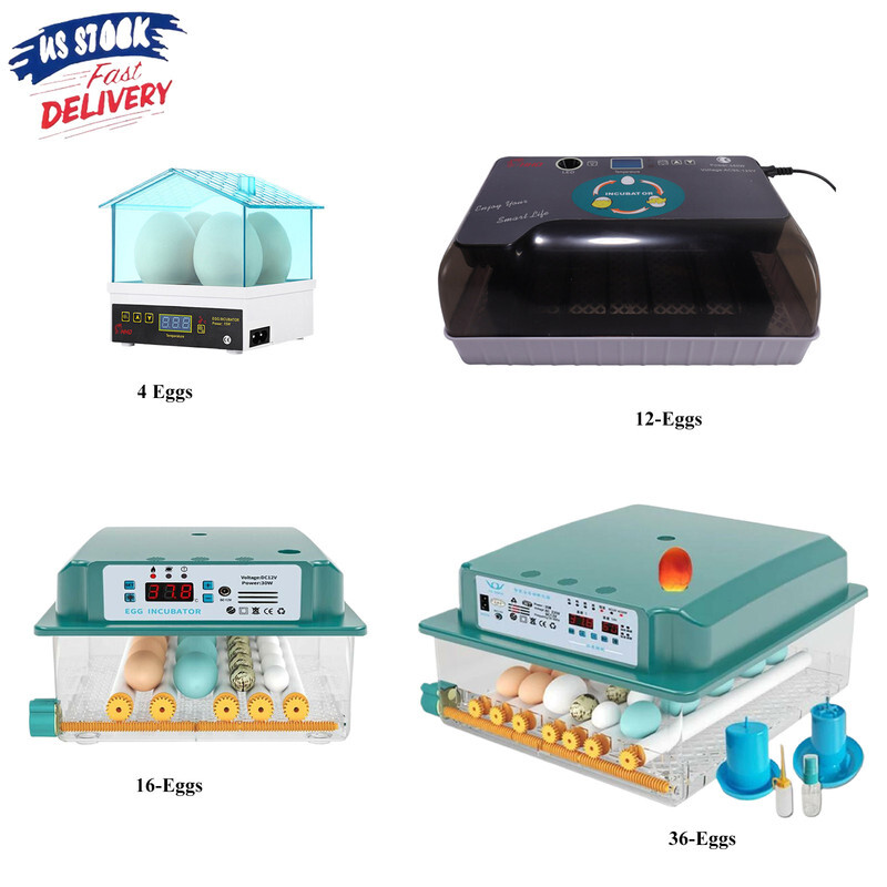 4/12/36Egg Incubator Chicken Hatcher Automatic Egg Turning Temperature Control