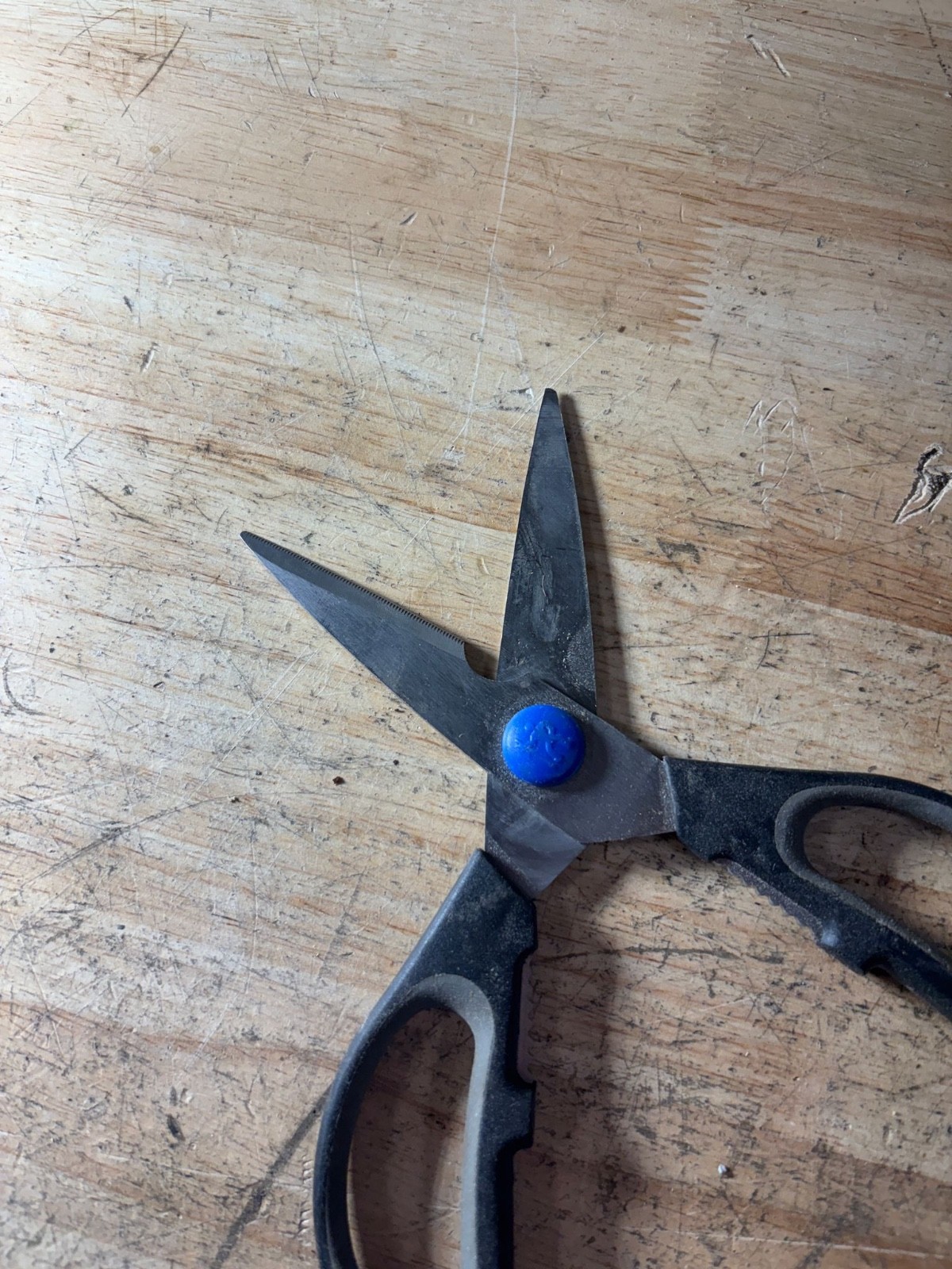 HENCKELS Kitchen Elements Kitchen Shears, Black Model: 41358-300 -- Used!