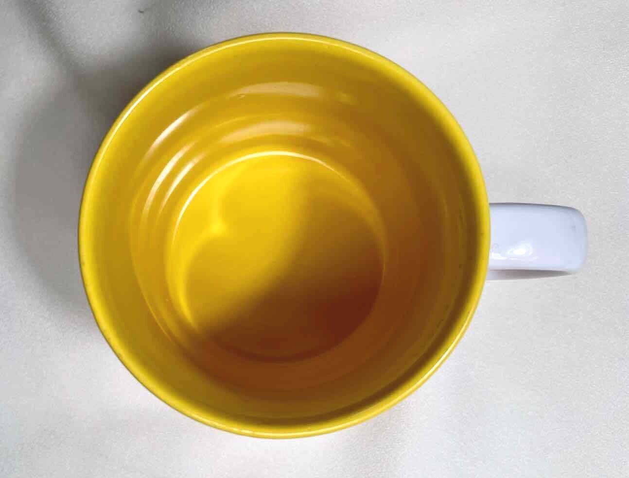 Disney WINNIE THE POOH Mug w Handle Orange w Gold Interior