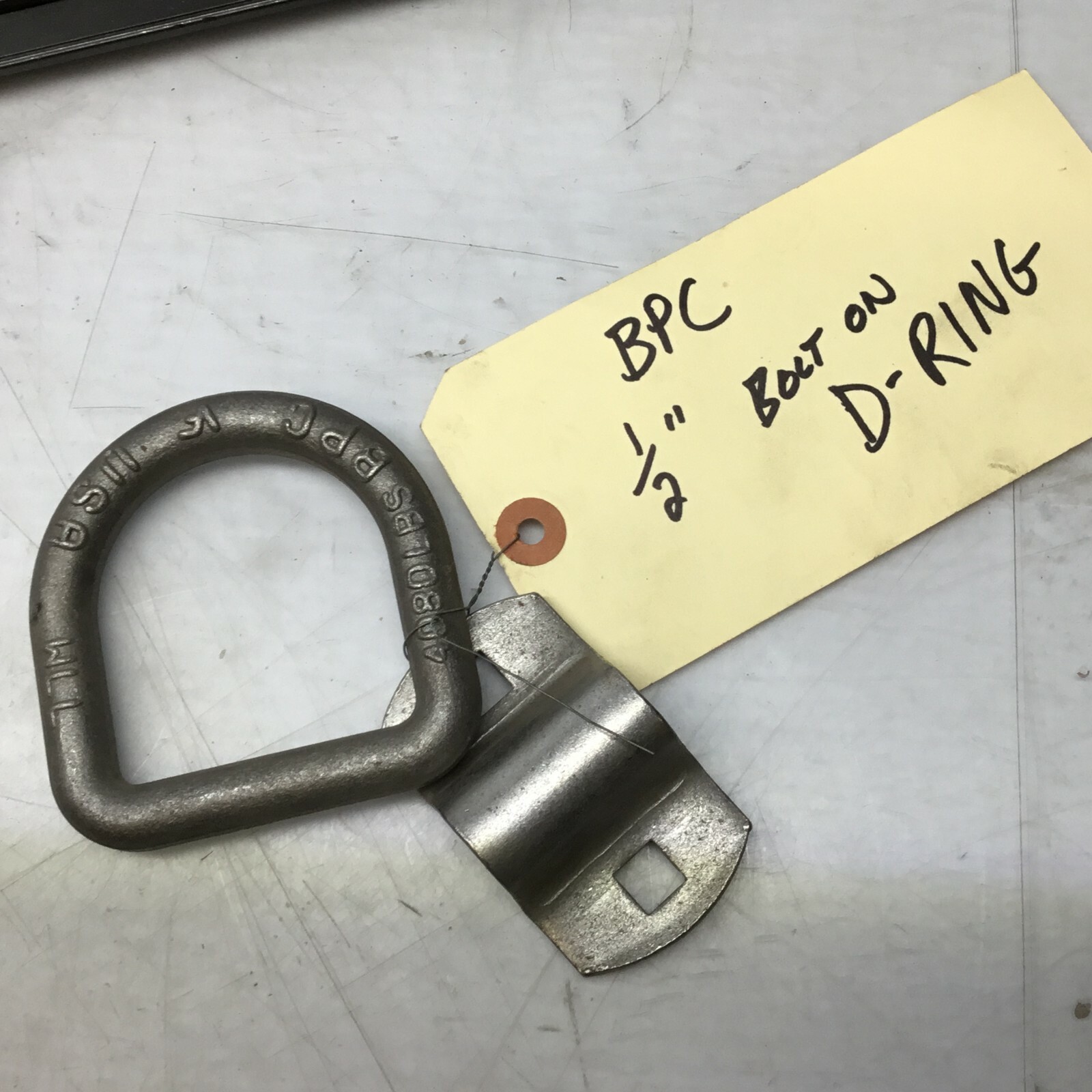 1/2" Bolt On D Ring Forged Lashing Rings Trailer Chain Strap Rope Tie Down BPC