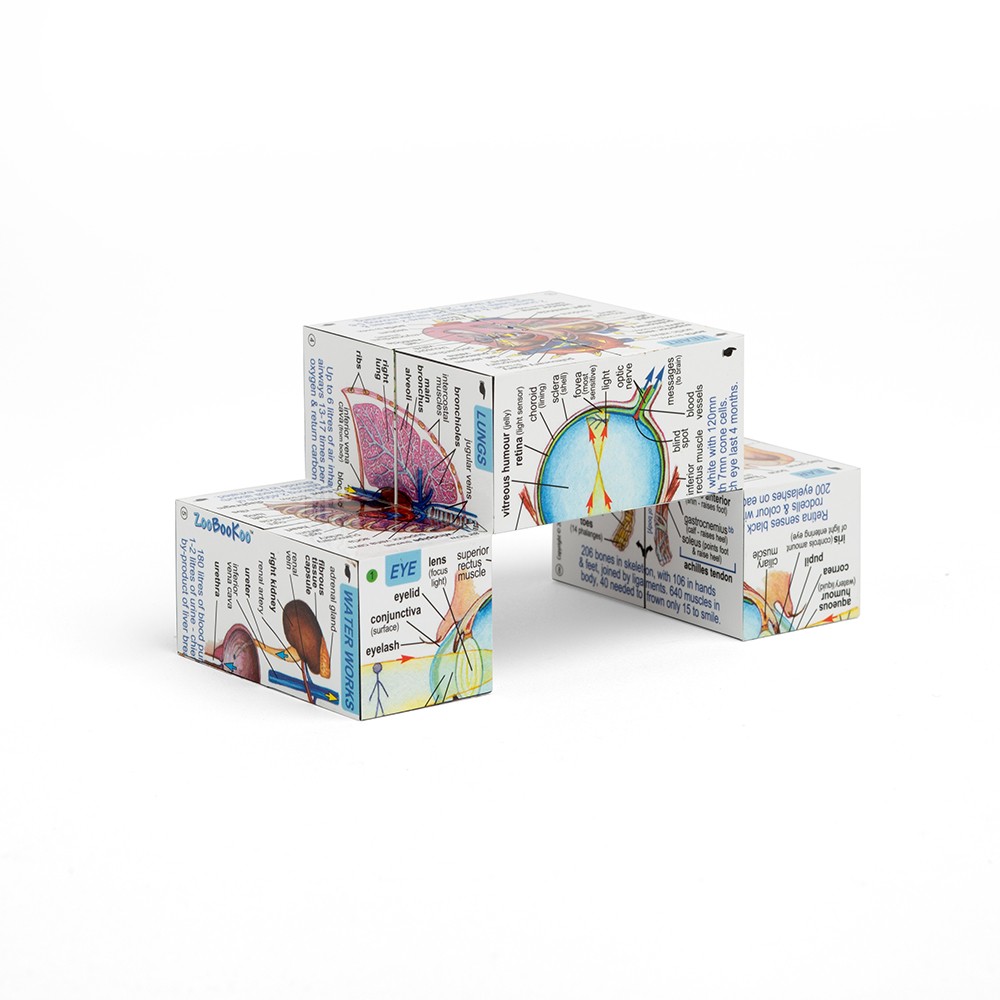 ZooBooKoo Scientific Cubebook - In English French German Italian Polish Spanish