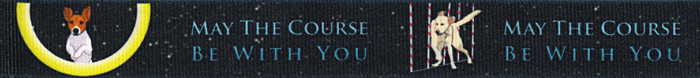 Country Brook Design® 5/8in Course B With You Grosgrain Ribbon Closeout, 10 Yds