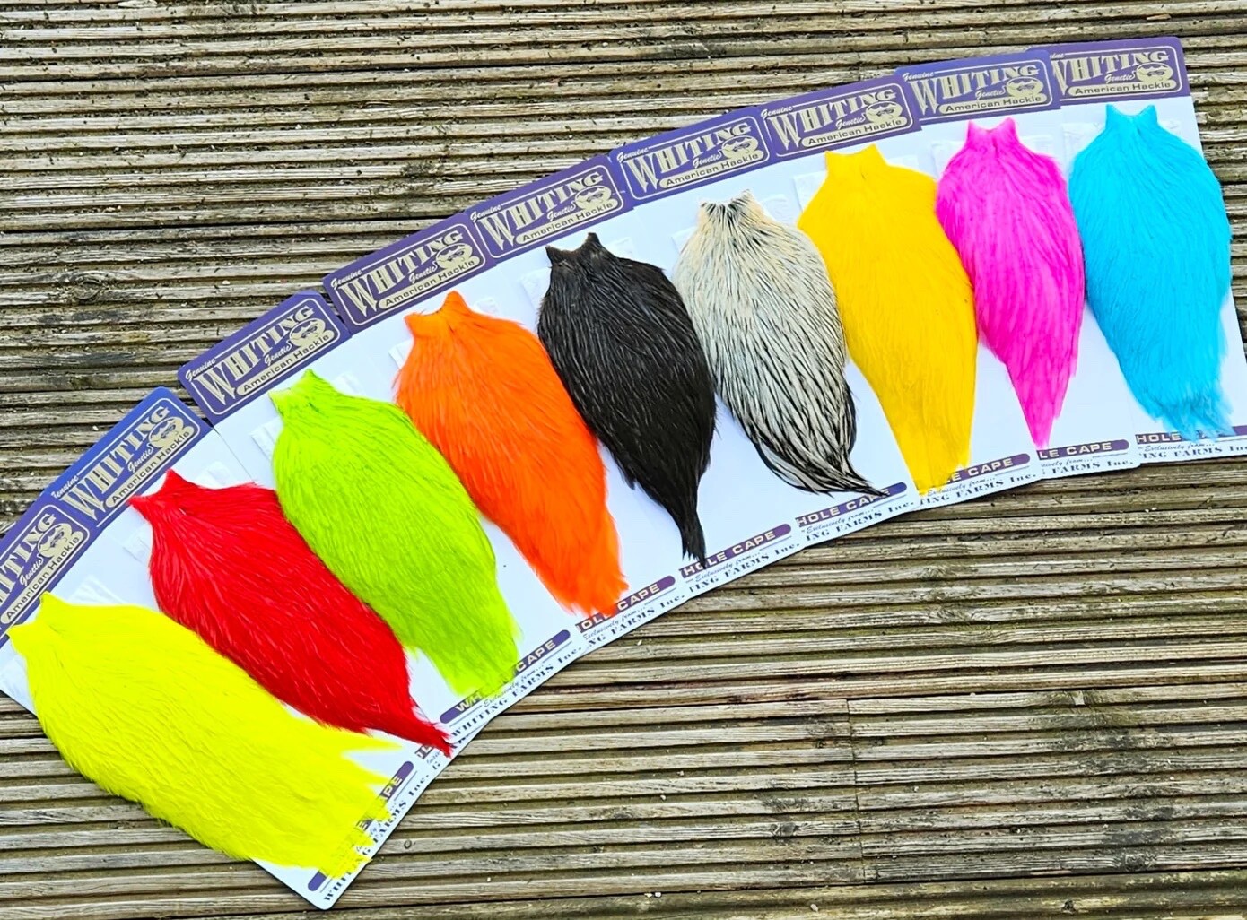 *SALE* 1000pc Rainbow 3-6" Loose CAPE Feathers Whiting Farms ( saltwater flies)