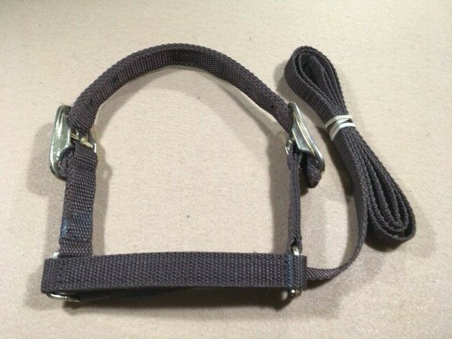 Lamb Halter - 3/4" - Brown Webbing - Medium - pack of 2 (B210)