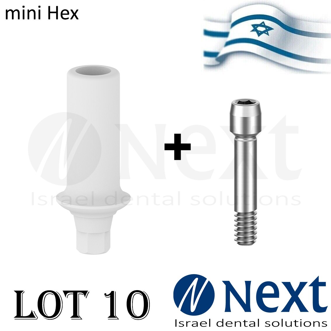 Lot x 10  Plastic castable Abutment Screw  Hiossen Mini with hex replica