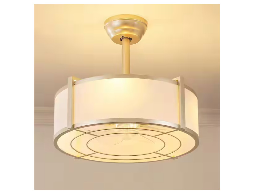 KAISITE 20 in. Indoor White Low Profile Enclosed Acrylic Ceiling Fan with Light