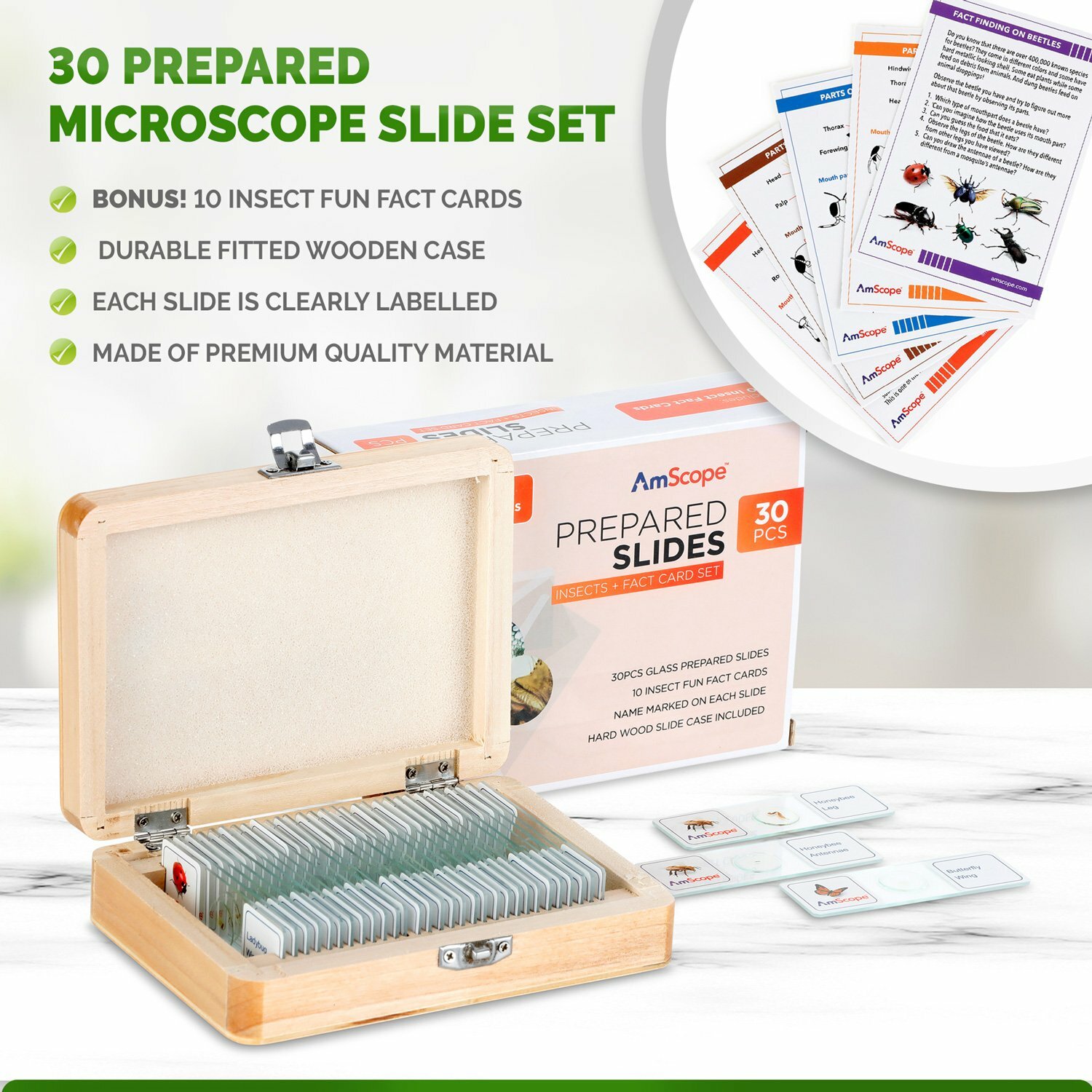 AmScope 30pc Glass Prepared Microscope Slides in Wooden Case w Insect Specimens