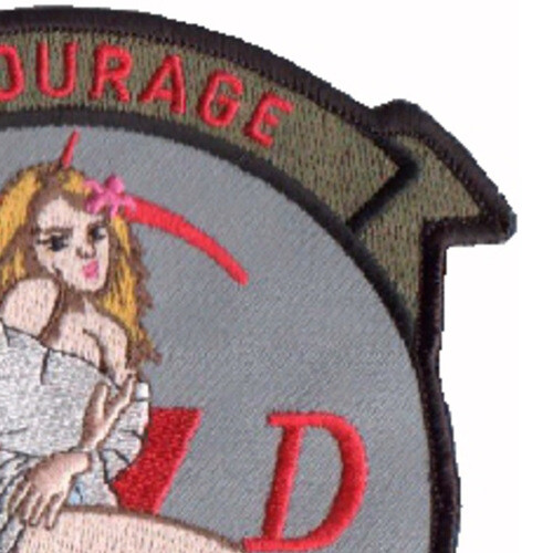 1st SOS Special Operations Squadron Patch SD Goose 39