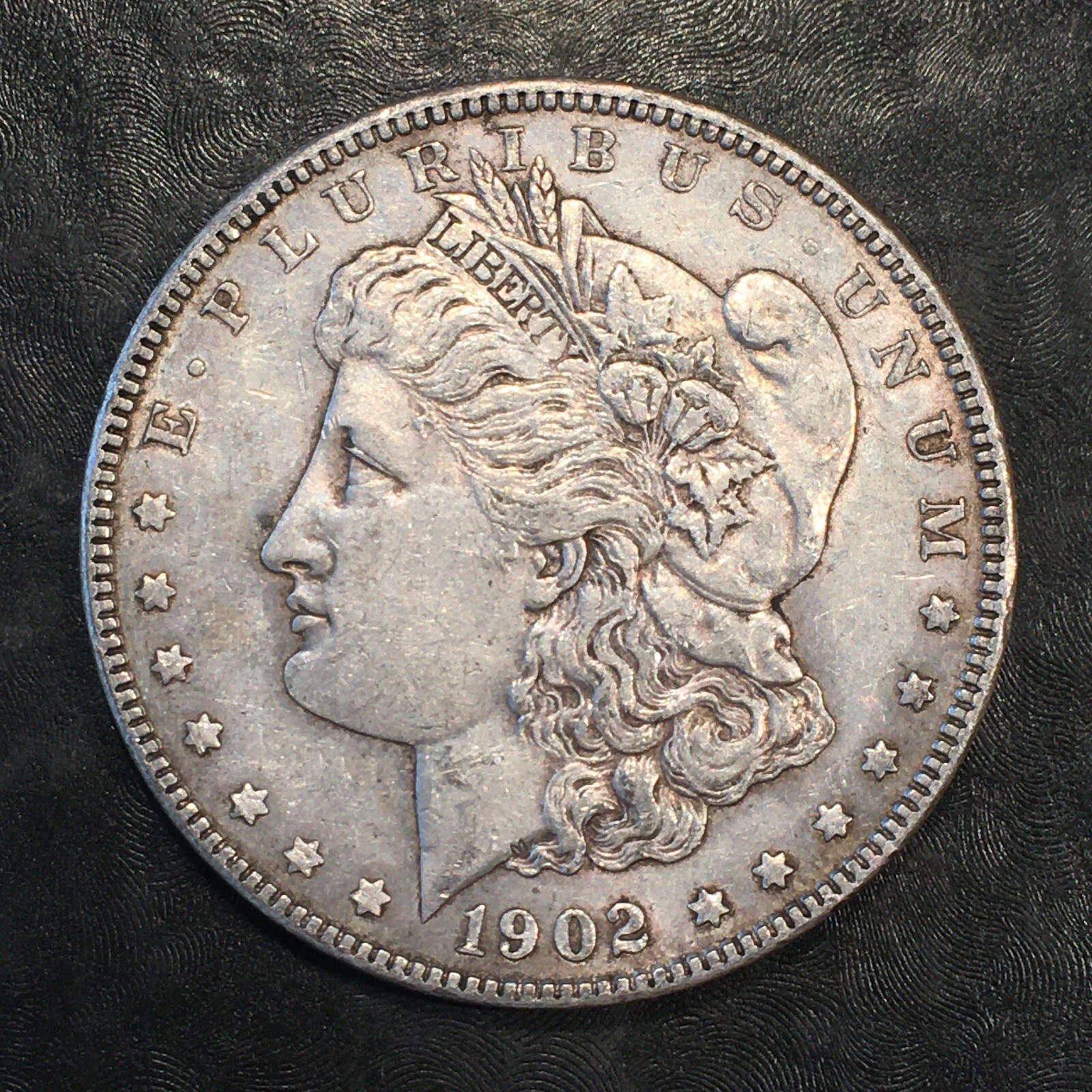 1902 Morgan Silver Dollar - High Quality Scans #i585