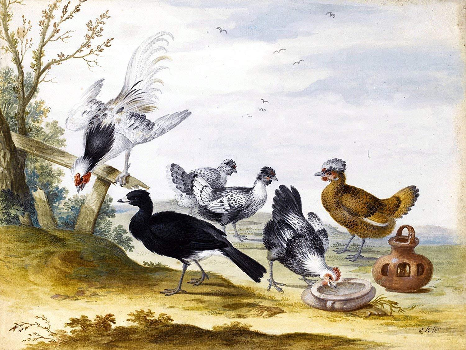 POULTRY Birds J. Bronckhorst Tile Mural Kitchen Bathroom Backsplash Ceramic 10x8