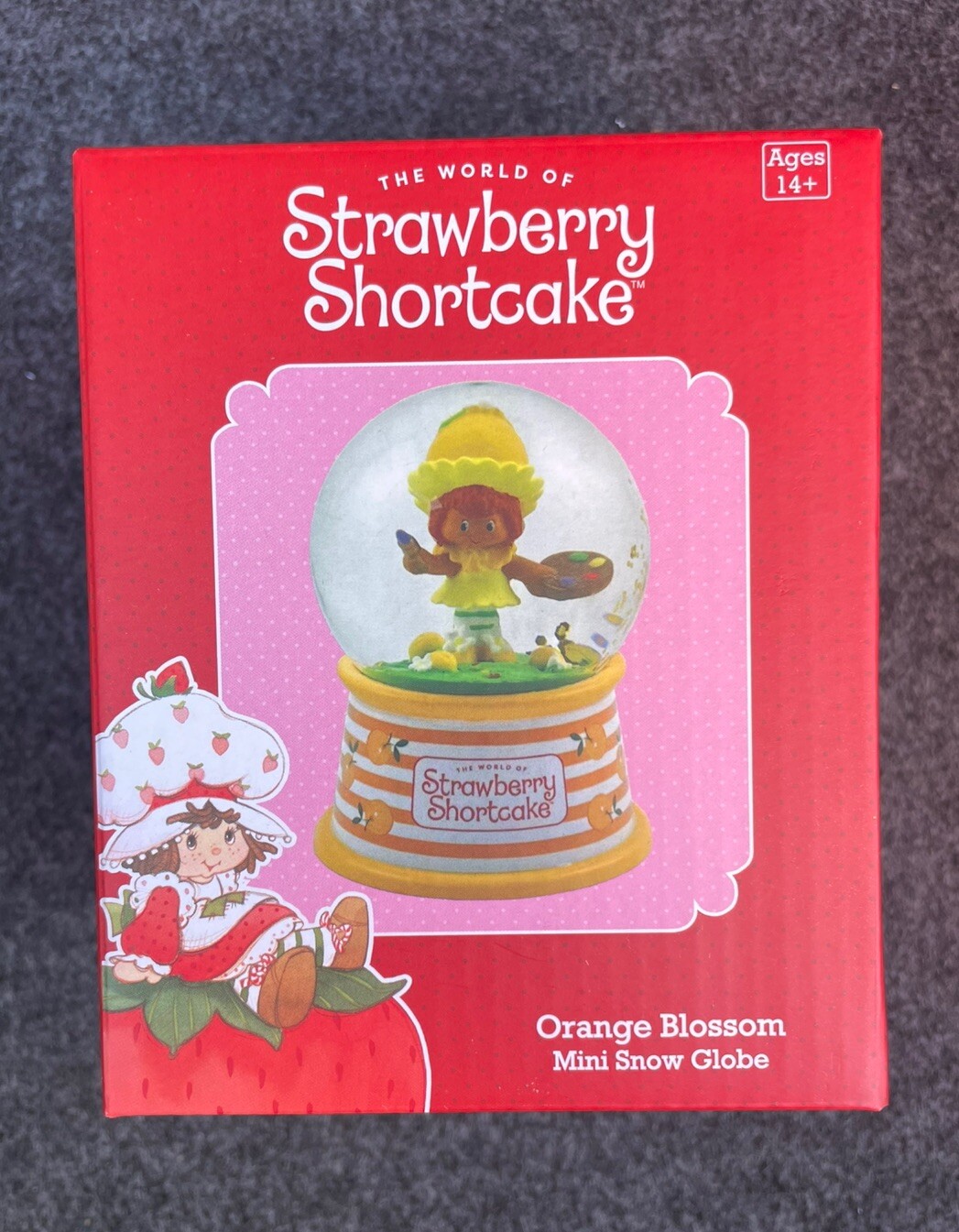 The Wonderful World Of Strawberry Shortcake Orange Blossom Snow Globe