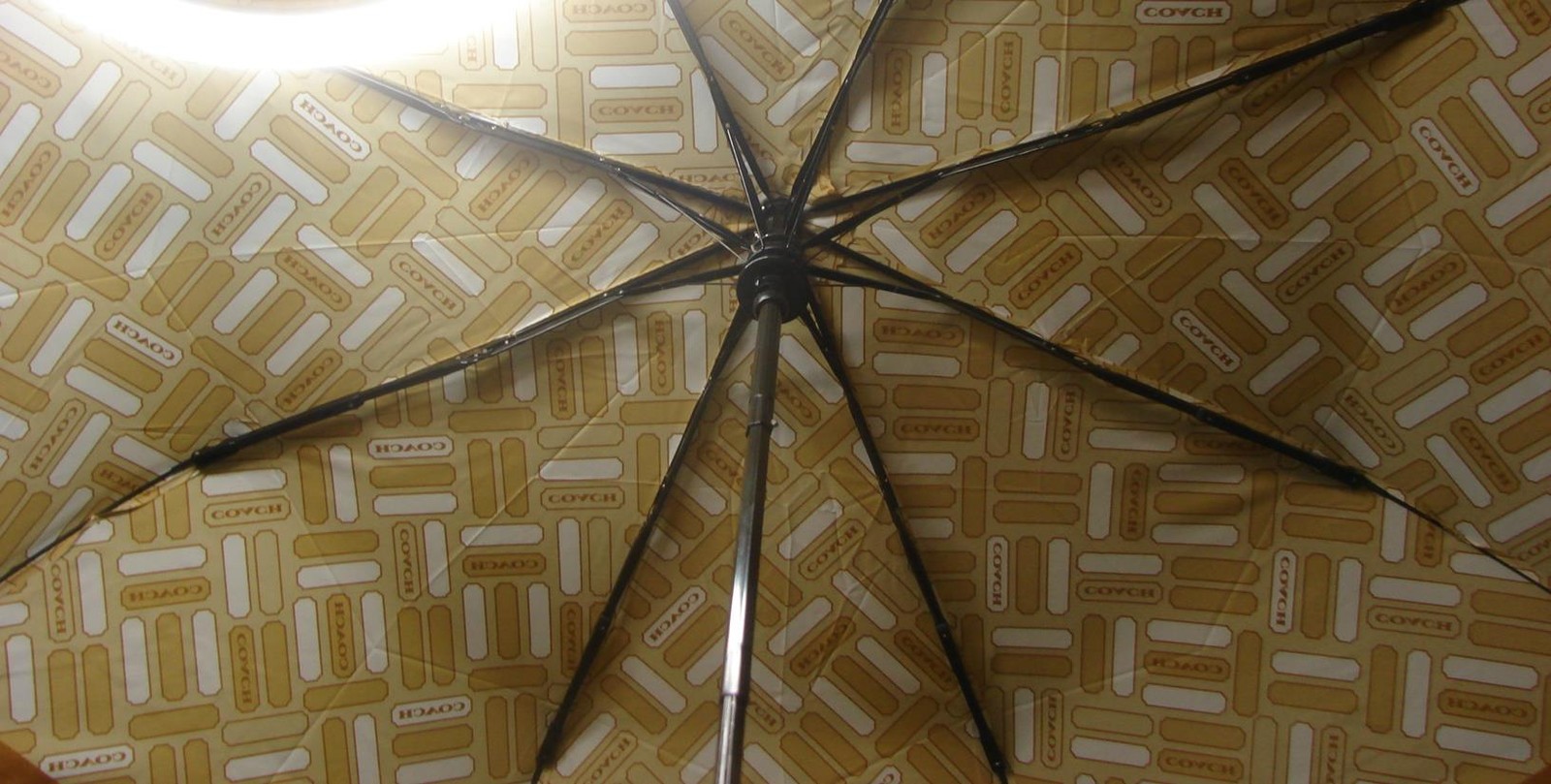 Coach F60287 Khaki and White Basic Script Logo Umbrella New With Tags