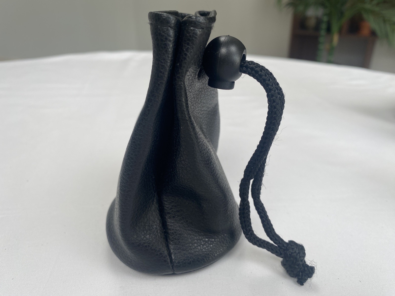 Original Pentax Lens Pouch
