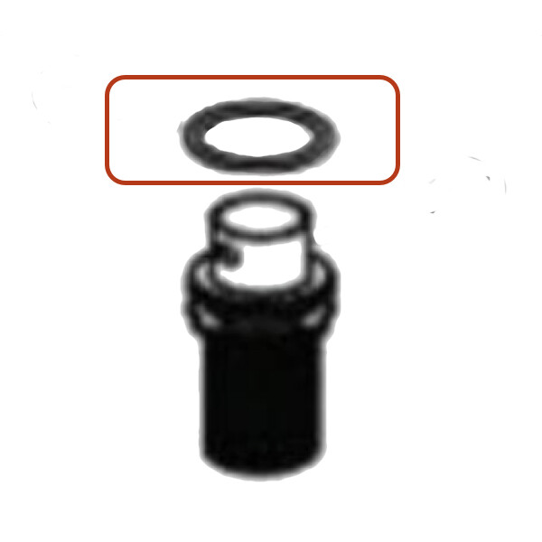 Dema TF10 Chemical Cylinder Support O-ring