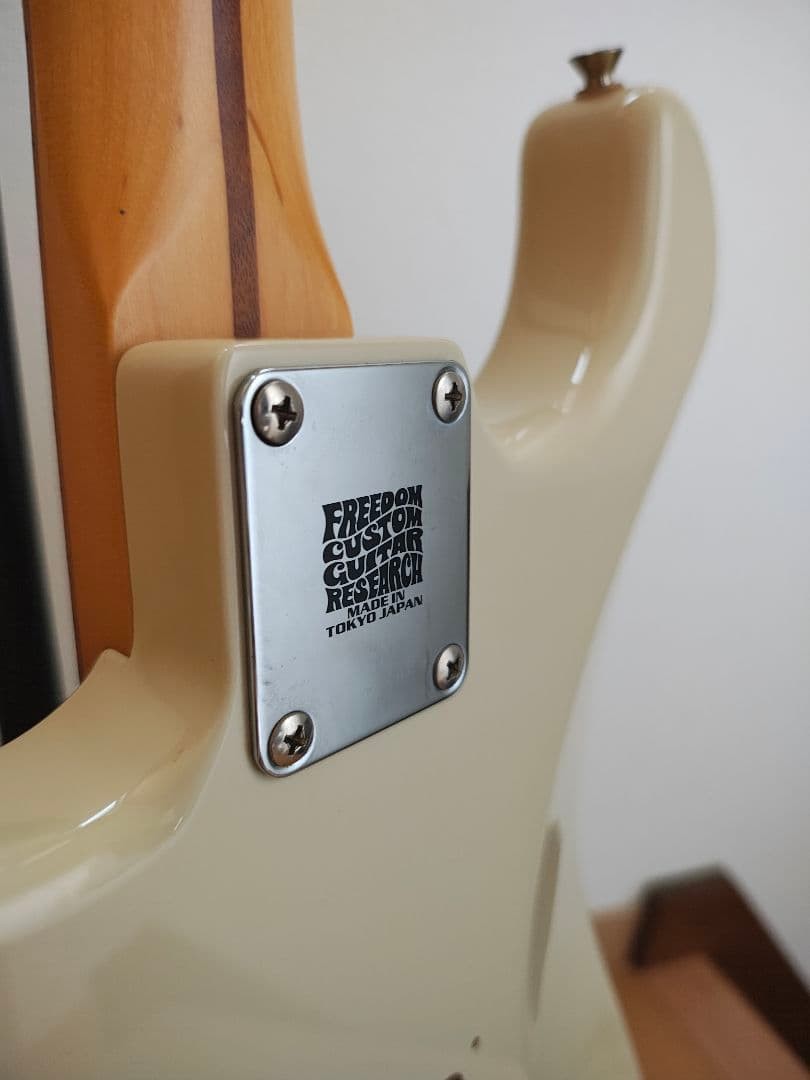 Fujigen J-Standard Safe delivery from Japan