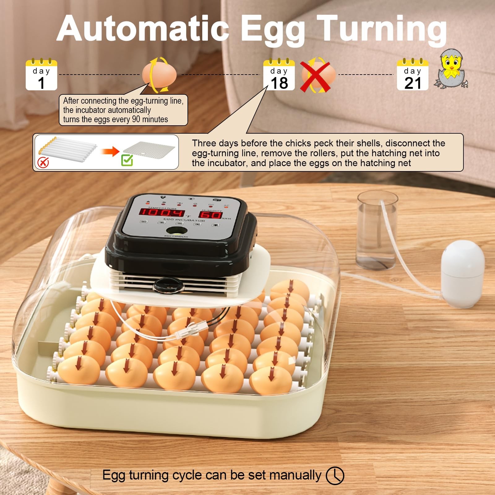 CoInceptus 35 Eggs Incubators for Hatching Eggs,Egg Incubator with Automatic...