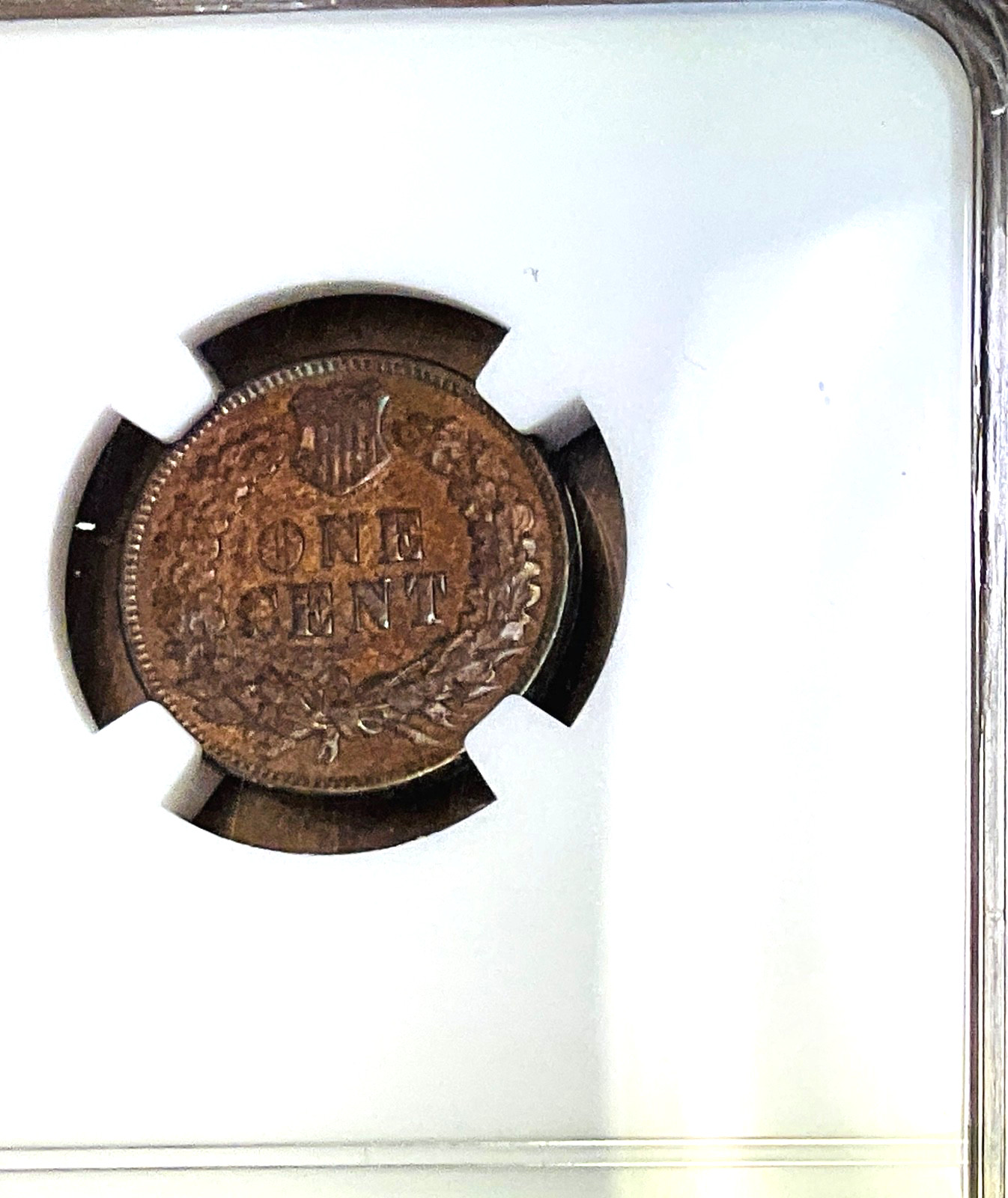 1876 Indian Head Cent - NGC AU Details - lightly cleaned.