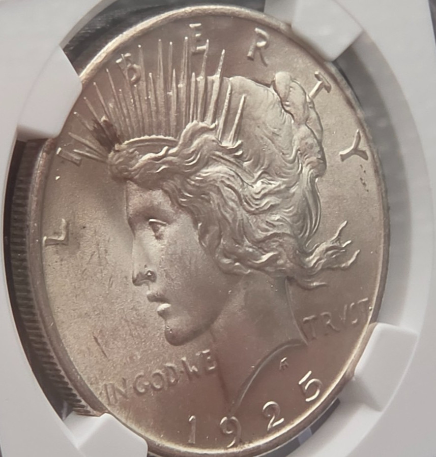 1925 Peace Dollar NGC MS64 – Bright White Luster, Clean Fields, Certified