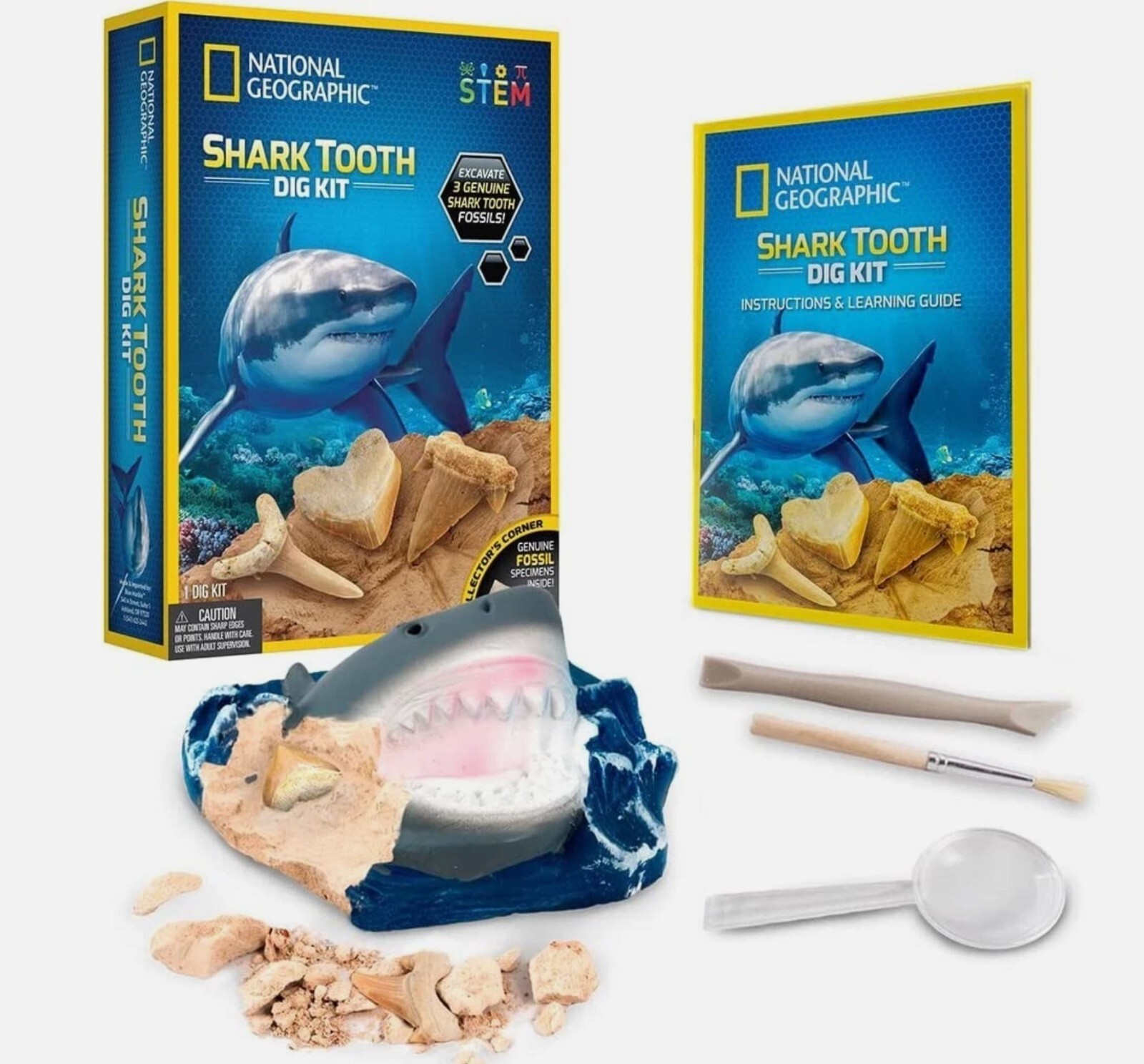 National Geographic Shark Tooth Dig Set Excavate 3 Genuine Shark Tooth Fossil