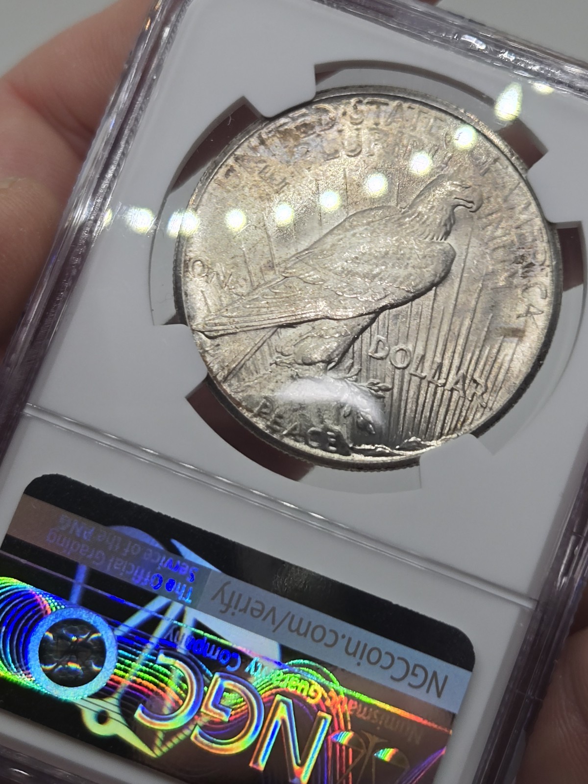 1926 Peace Silver Dollar Philadelphia NGC MS61 Nicely Toned