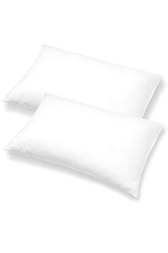 Pillow Inserts - Pack of 2 - Rectangular Decorative Throw or Sham 12" x 20"