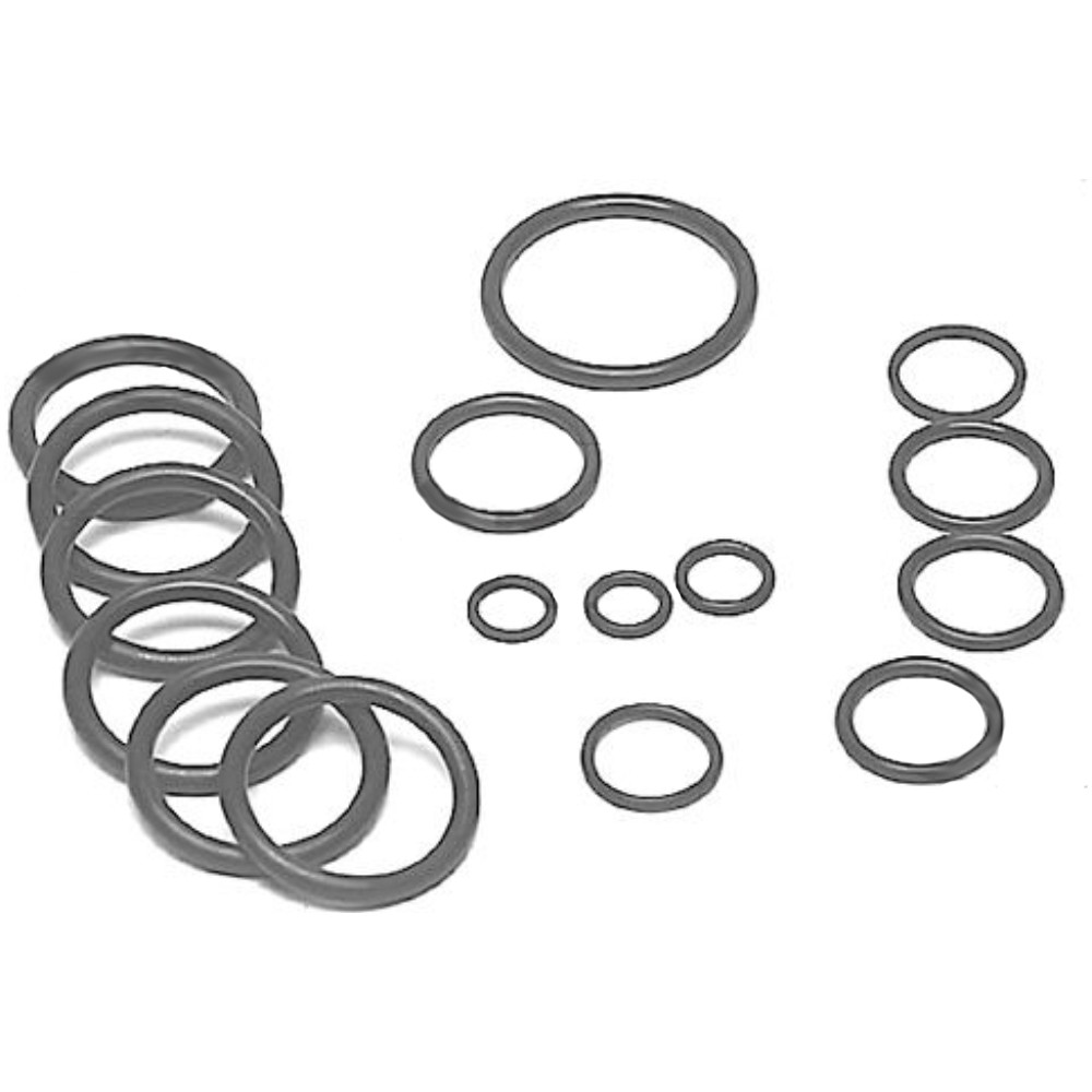 Cross Seal Kit-2 Spool Valve, 2V0009