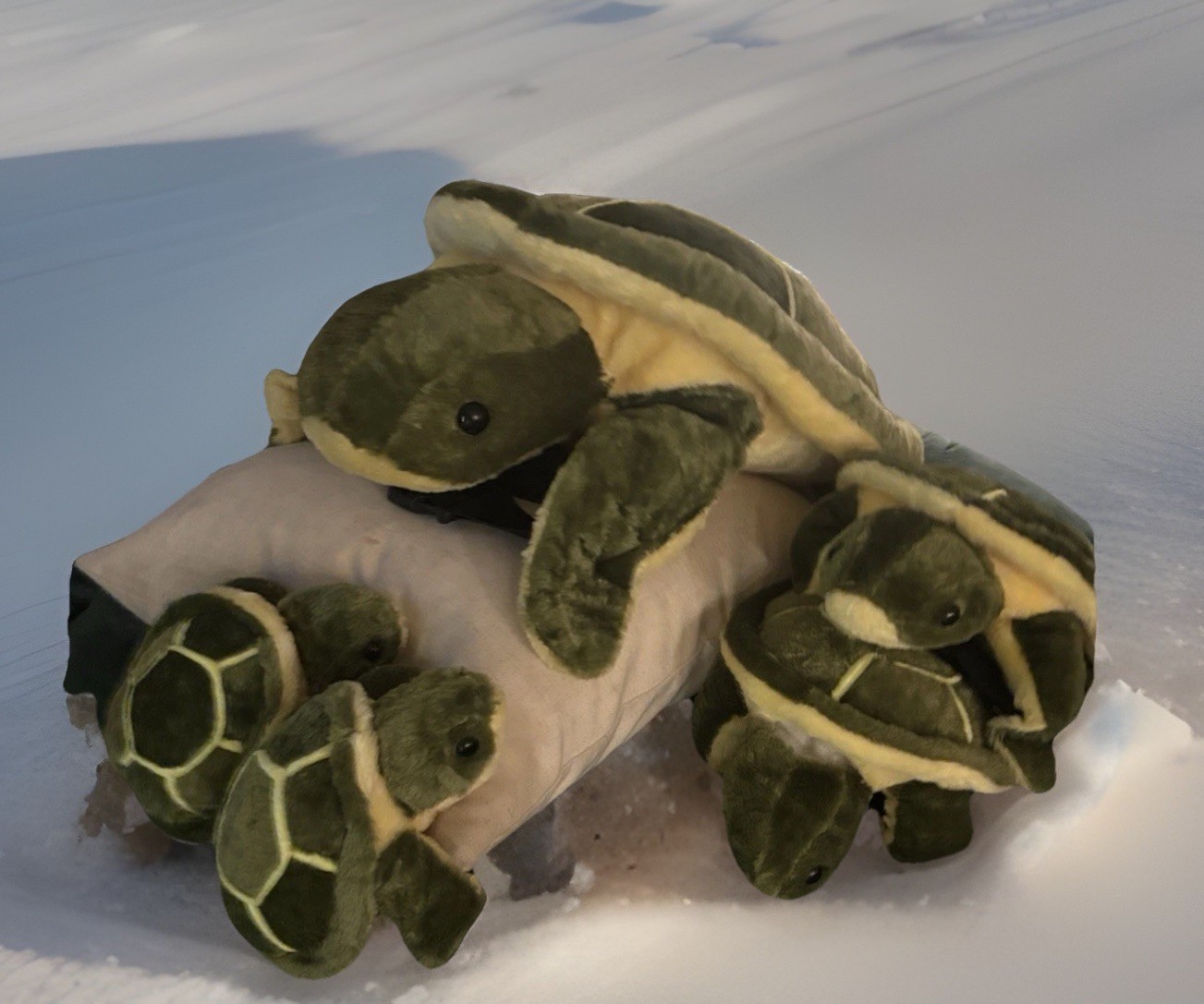 5 Pcs Turtle Butt Pad Snowboarding Cute Turtle Cushion Large Protective Gear ...