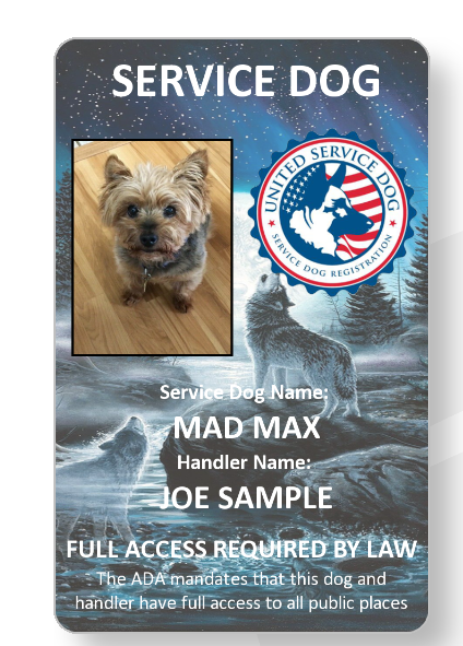 Wolf Service Dog/Emotional support/Therapy Dog ID card