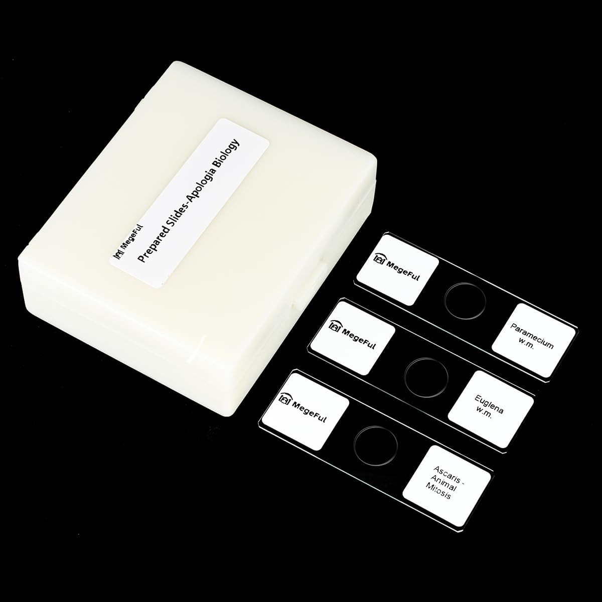 Prepared Microscope Slides for Apologia Biology Series, 16PCS Microscope Slides