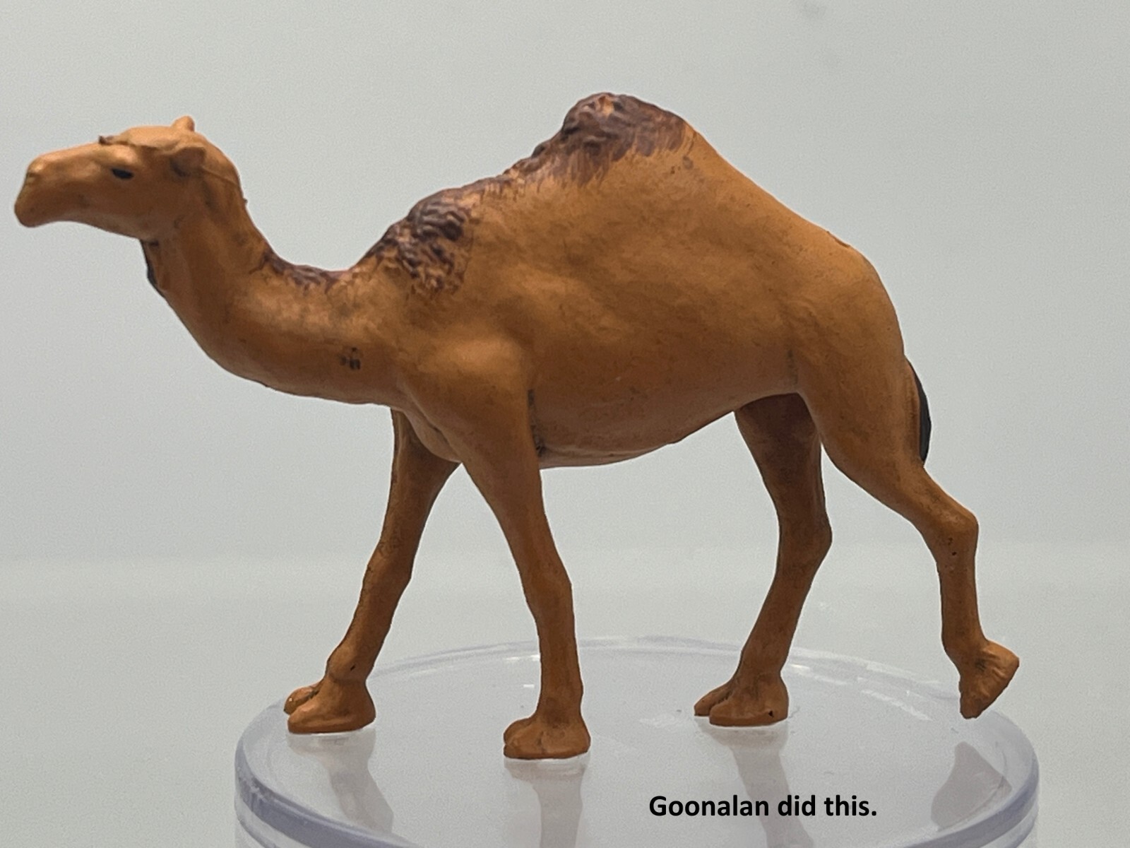 D&D Pathfinder Mini Sand & Stone 30 Camel UC LARGE