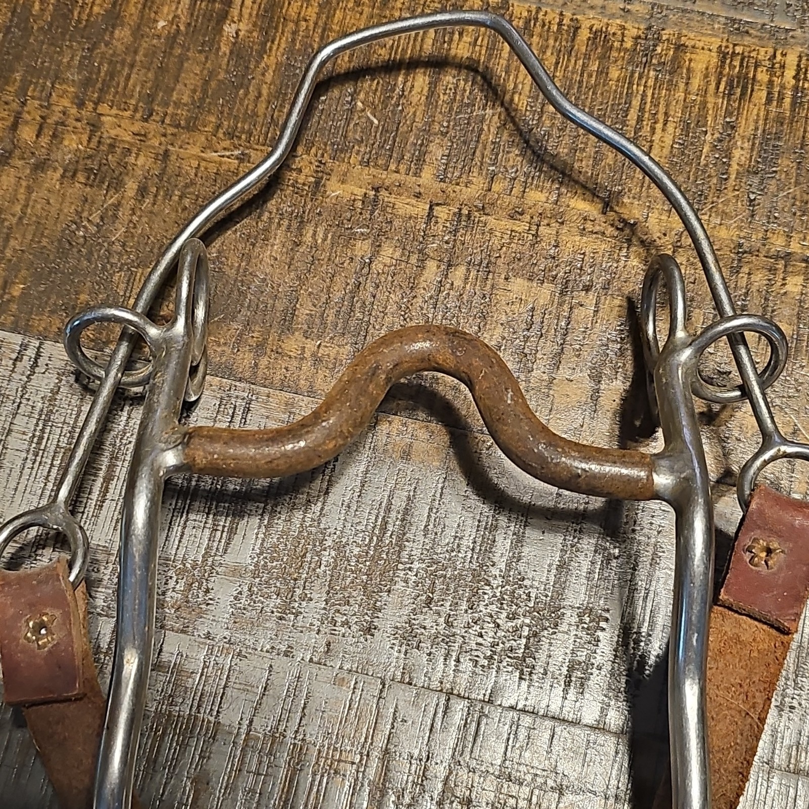 Trammell Steel Nose Grazing Bit