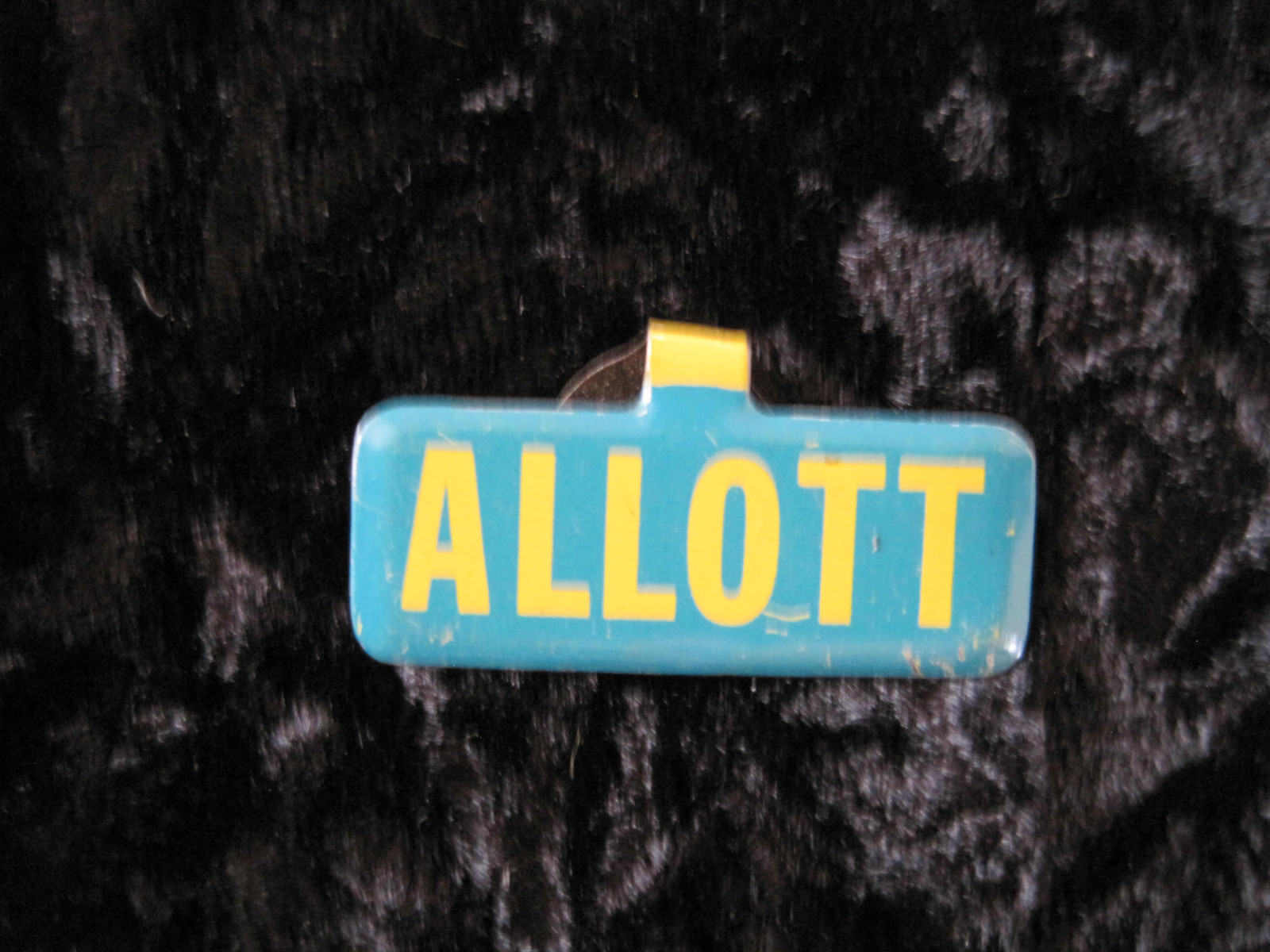 Allott Political Pin Small