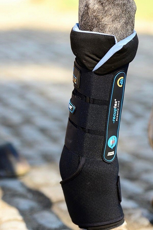 Kentucky Stable Boots Recuptex