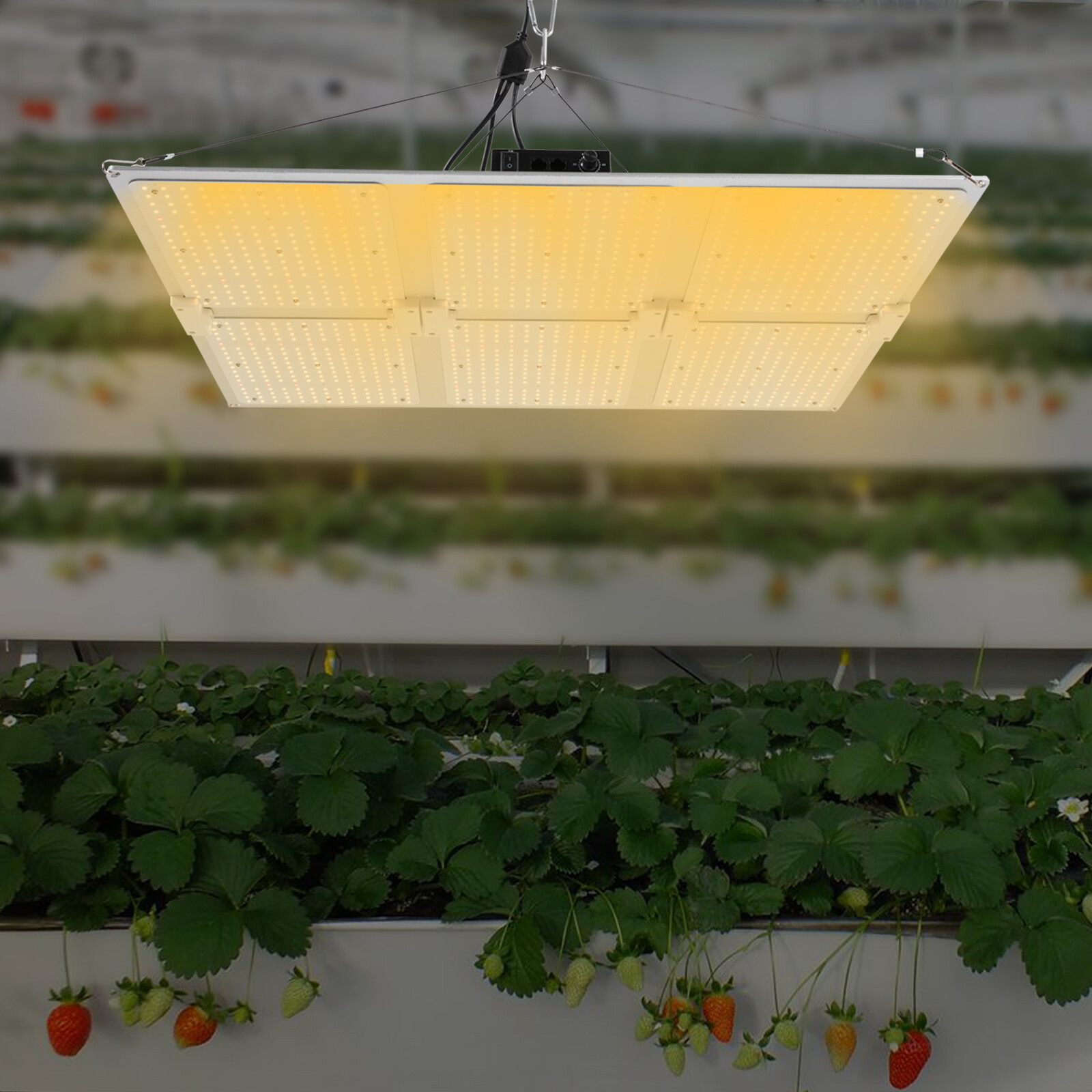 600w LED Grow Lights Panel Sunlike Full Spectrum For Indoor Plants Flowers IP65