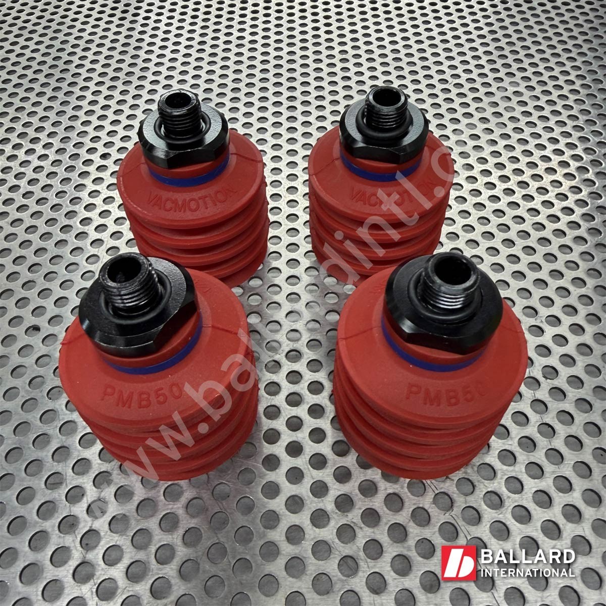 VacMotion PMB50 4.5 Bellows 55mm G1/4 Male Fitting Suction Cup  - Set of 4