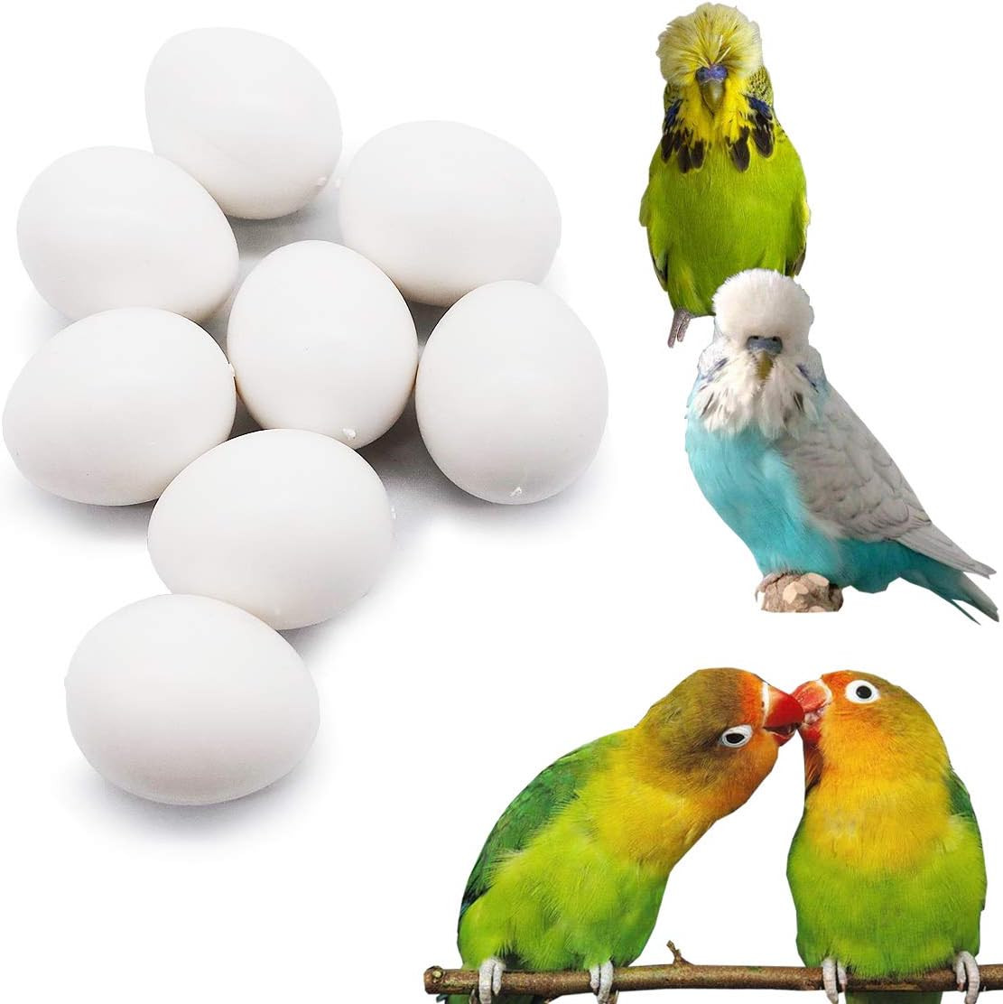 8 Pcs Solid Parrot Plastic Eggs Hatching Eggs Lovebird, Bourkes