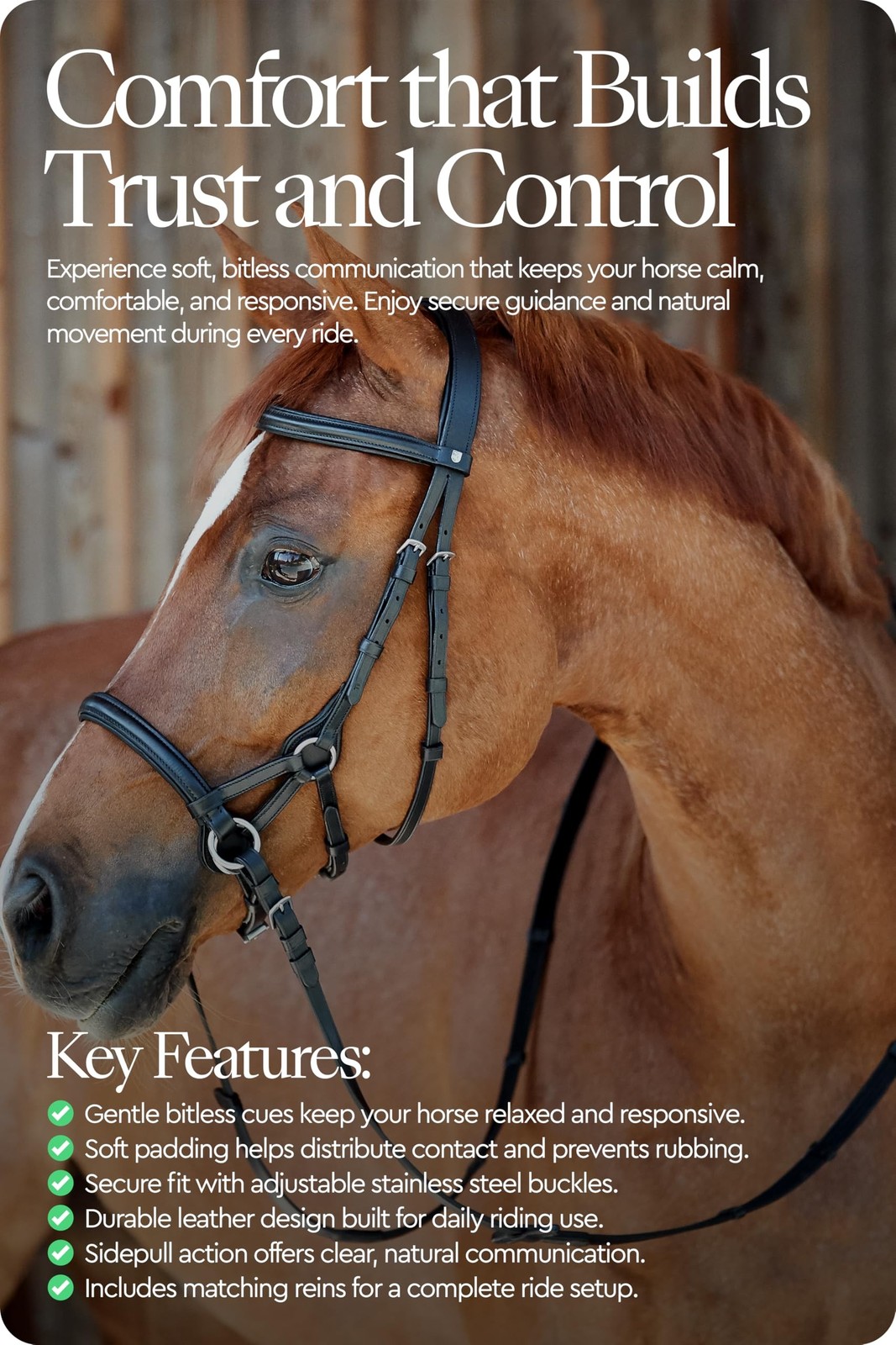 HORZE Denver Soft Leather English Side Pull Bitless Bridle for Horses | Web R...