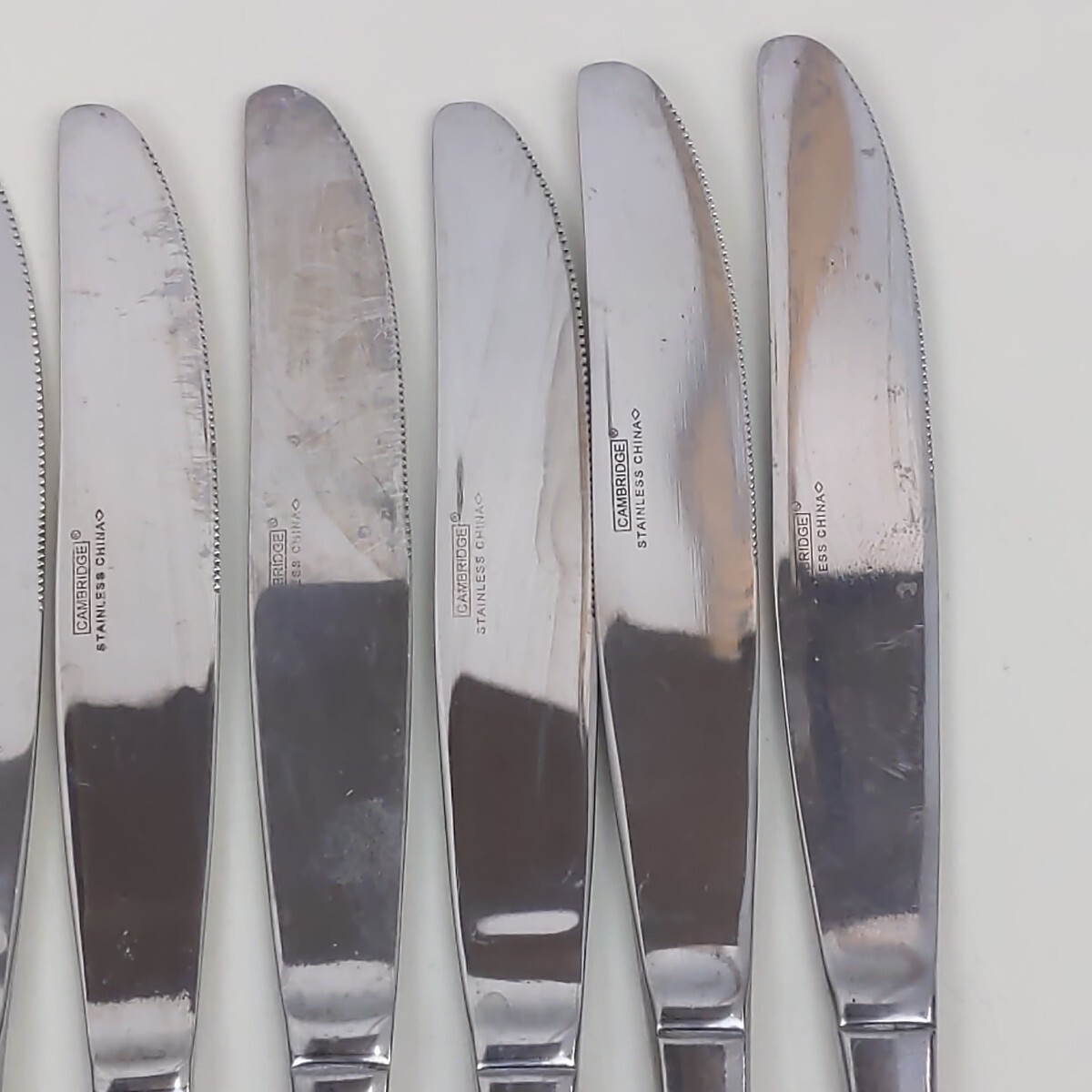 Cambridge Silverware Dinner Knife Flatware Stainless Steel Two Tone Silver 10